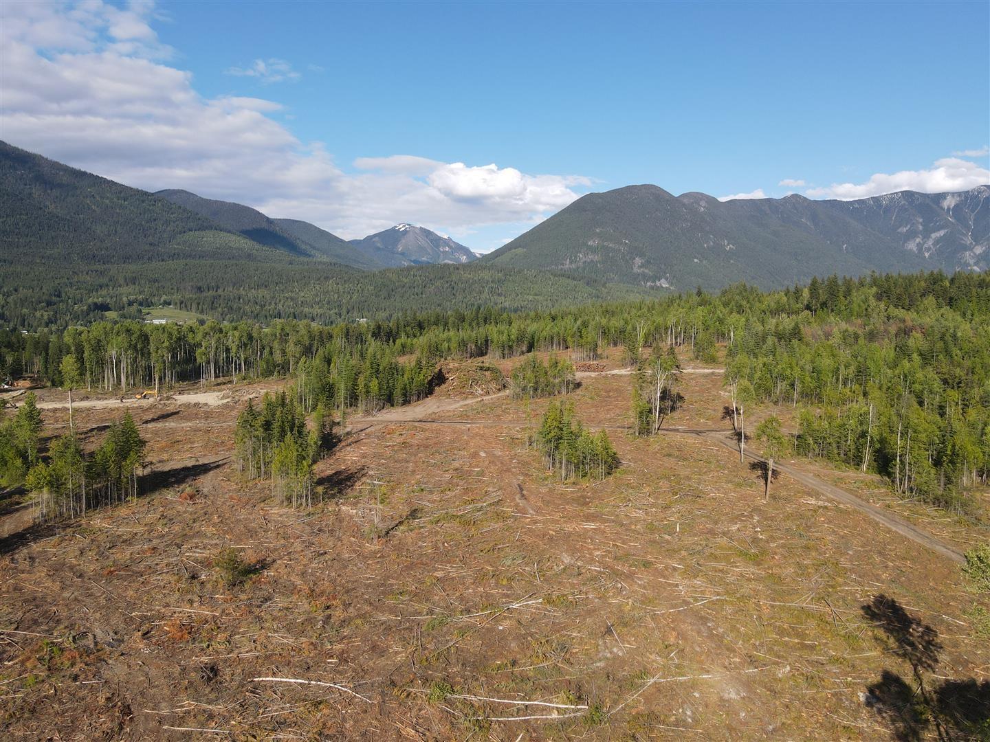 944 Guidon Road, Nakusp, British Columbia  V0G 1R1 - Photo 13 - 2477913