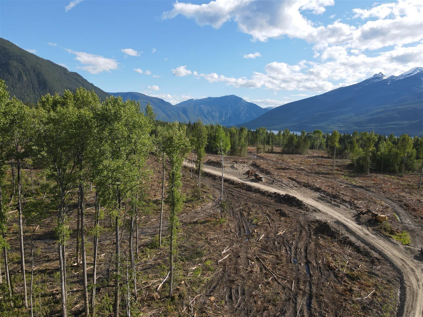 944 Guidon Road, Nakusp, British Columbia  V0G 1R1 - Photo 2 - 2477913