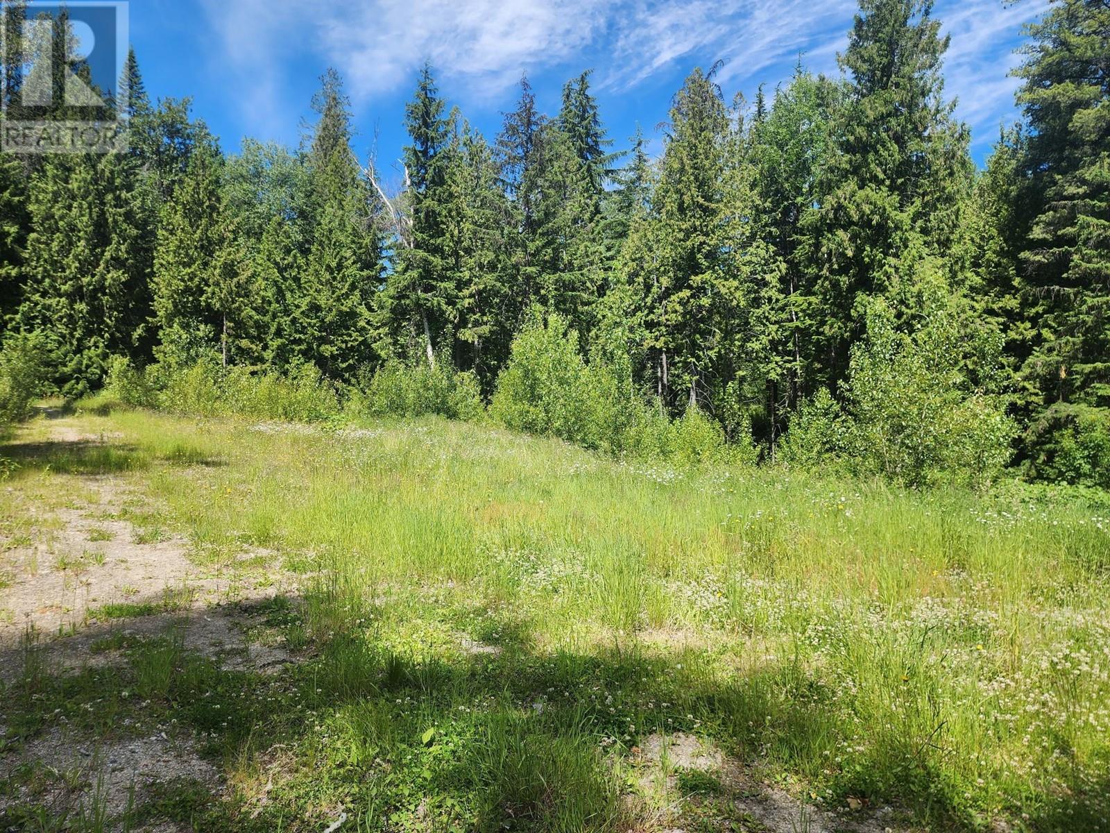 4248 Casino Road, Trail, British Columbia  V1R 4X3 - Photo 21 - 2477958