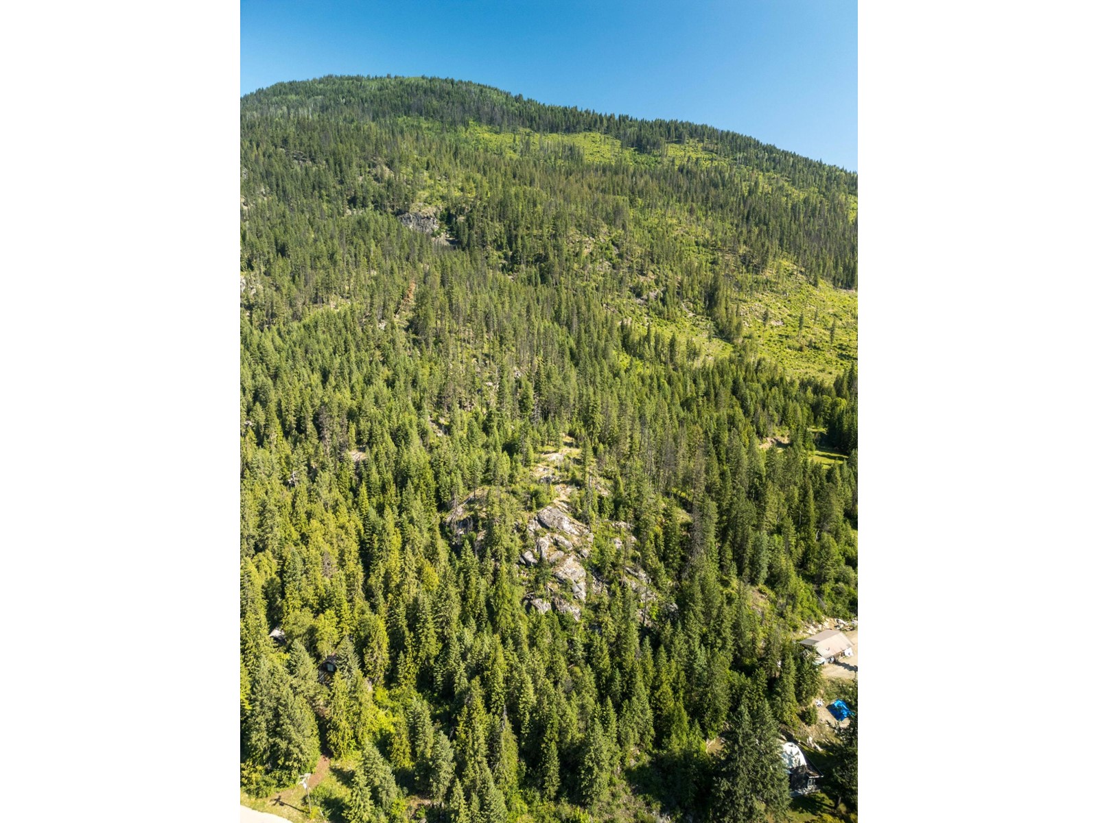 Lot 1 Erie-Ross Spur Road, Salmo, British Columbia  V0G 1Z0 - Photo 4 - 2478386