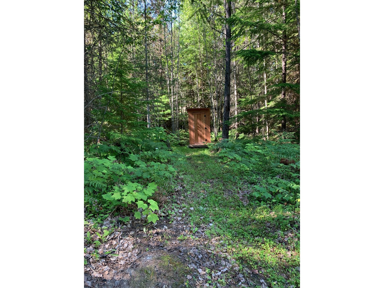 Lot 11 Mccormack Road, Burton, British Columbia  V0G 1E0 - Photo 10 - 2478632