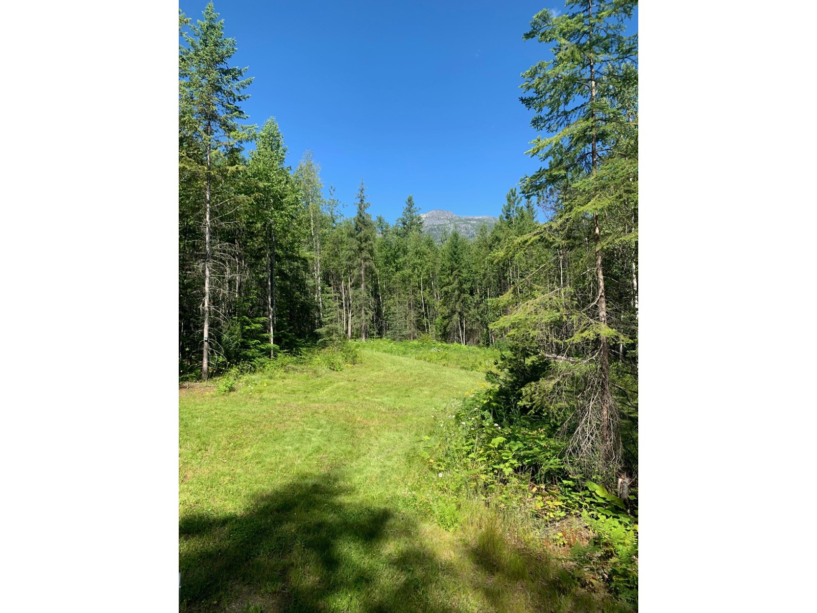 Lot 11 Mccormack Road, Burton, British Columbia  V0G 1E0 - Photo 11 - 2478632