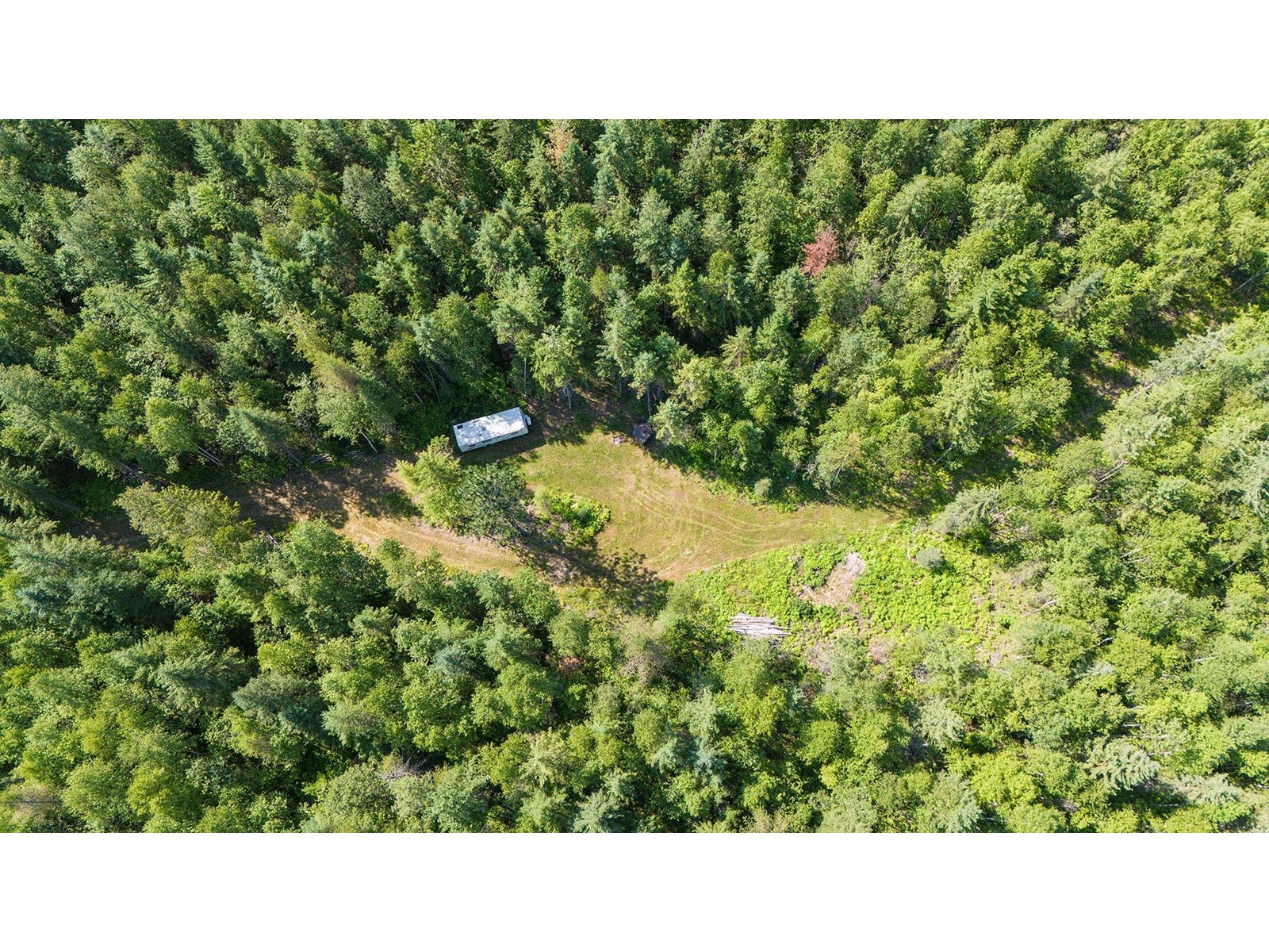 Lot 11 Mccormack Road, Burton, British Columbia  V0G 1E0 - Photo 5 - 2478632