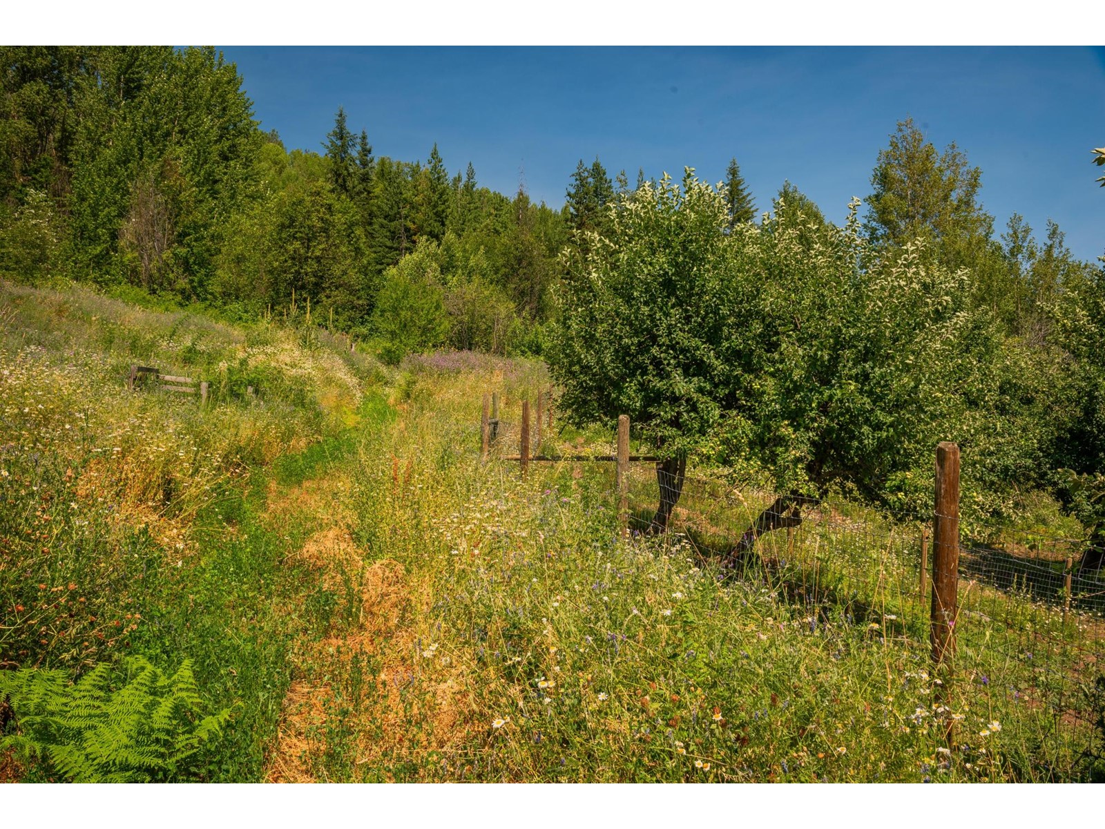 2715 Highway 3b, Rossland, British Columbia  V0G 1Y0 - Photo 58 - 2478669