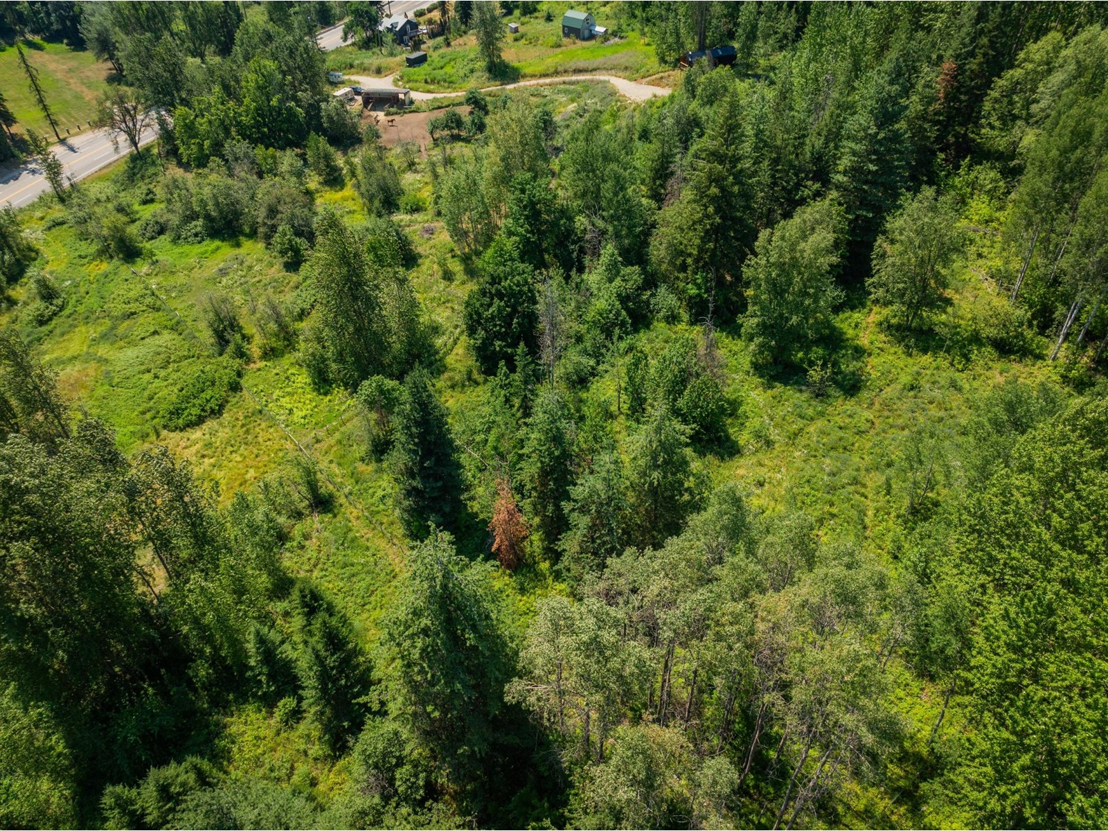 2715 Highway 3b, Rossland, British Columbia  V0G 1Y0 - Photo 68 - 2478669