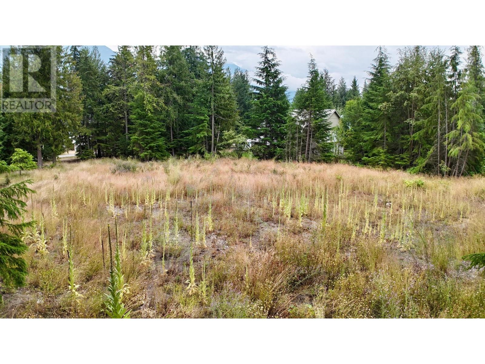 Lot 37 Nichols Drive, Schroeder Creek, British Columbia  V0G 1M0 - Photo 21 - 2478760