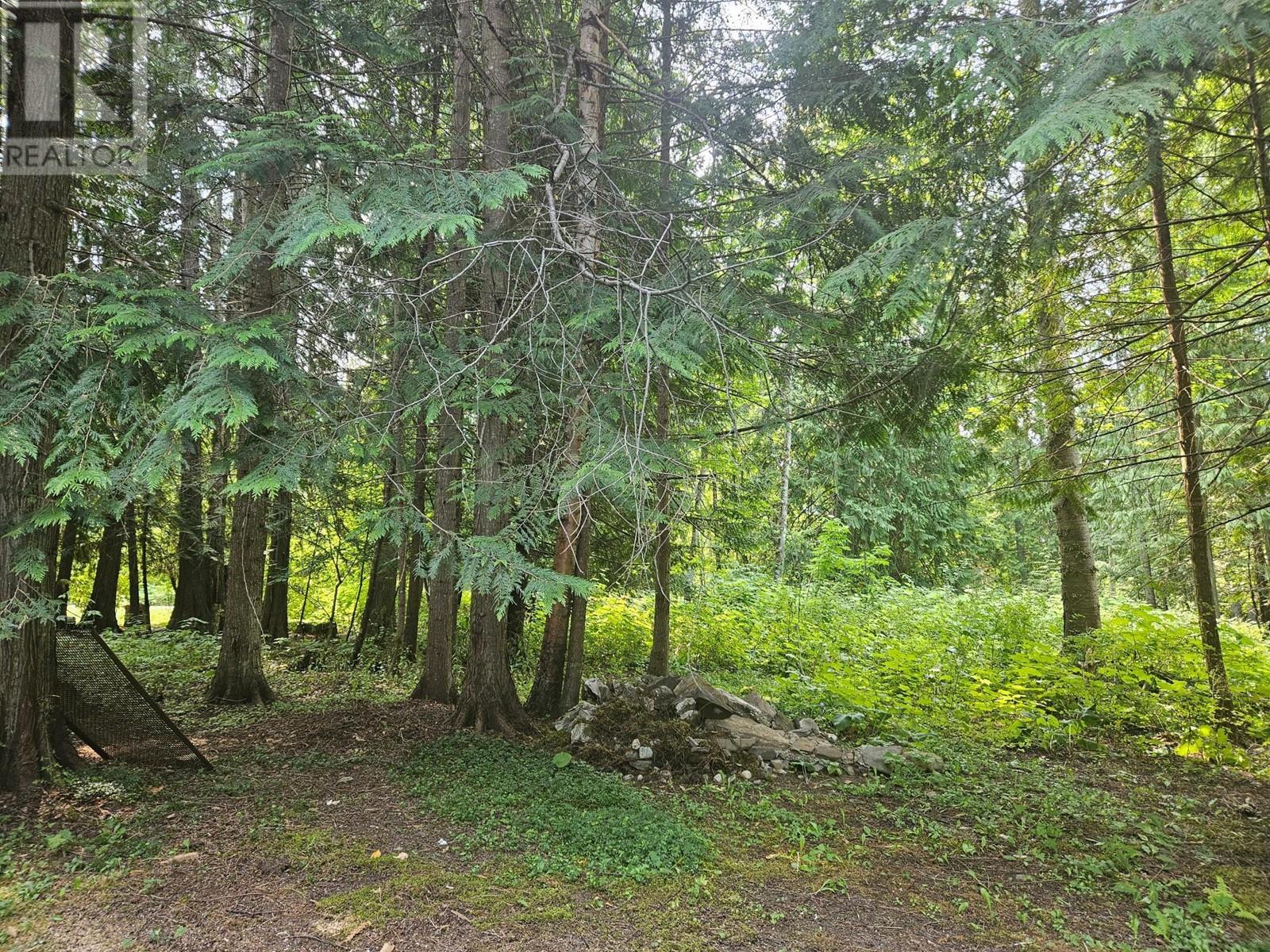 432 Bayles Road, Nakusp, British Columbia  V0G 1R1 - Photo 25 - 2478972