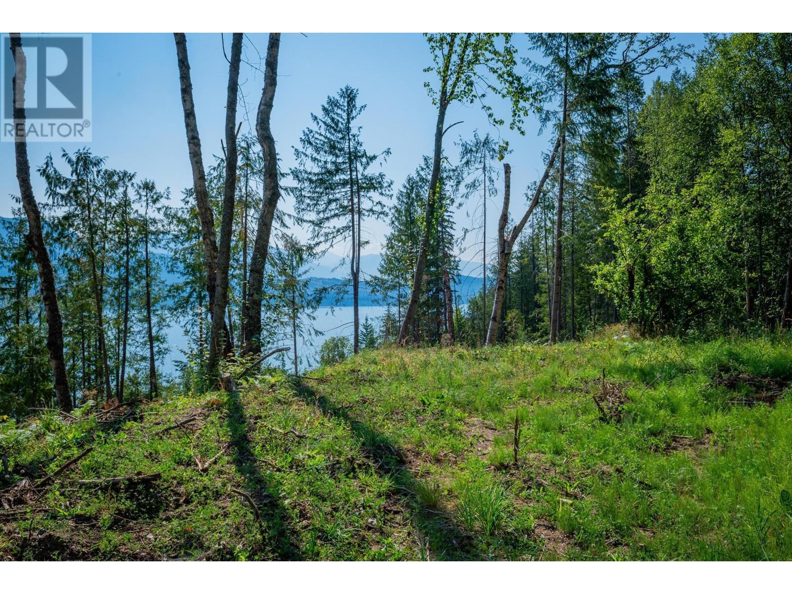 3430 Loon Lake Road, Ainsworth, British Columbia  V0G 1A0 - Photo 58 - 2479026