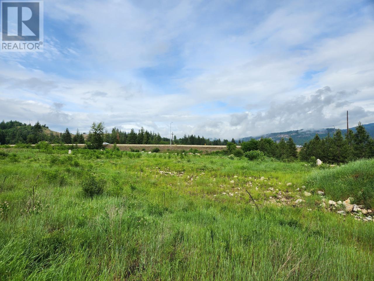 Block 16 22 Highway, Castlegar, British Columbia  V0G 1G0 - Photo 4 - 2479141