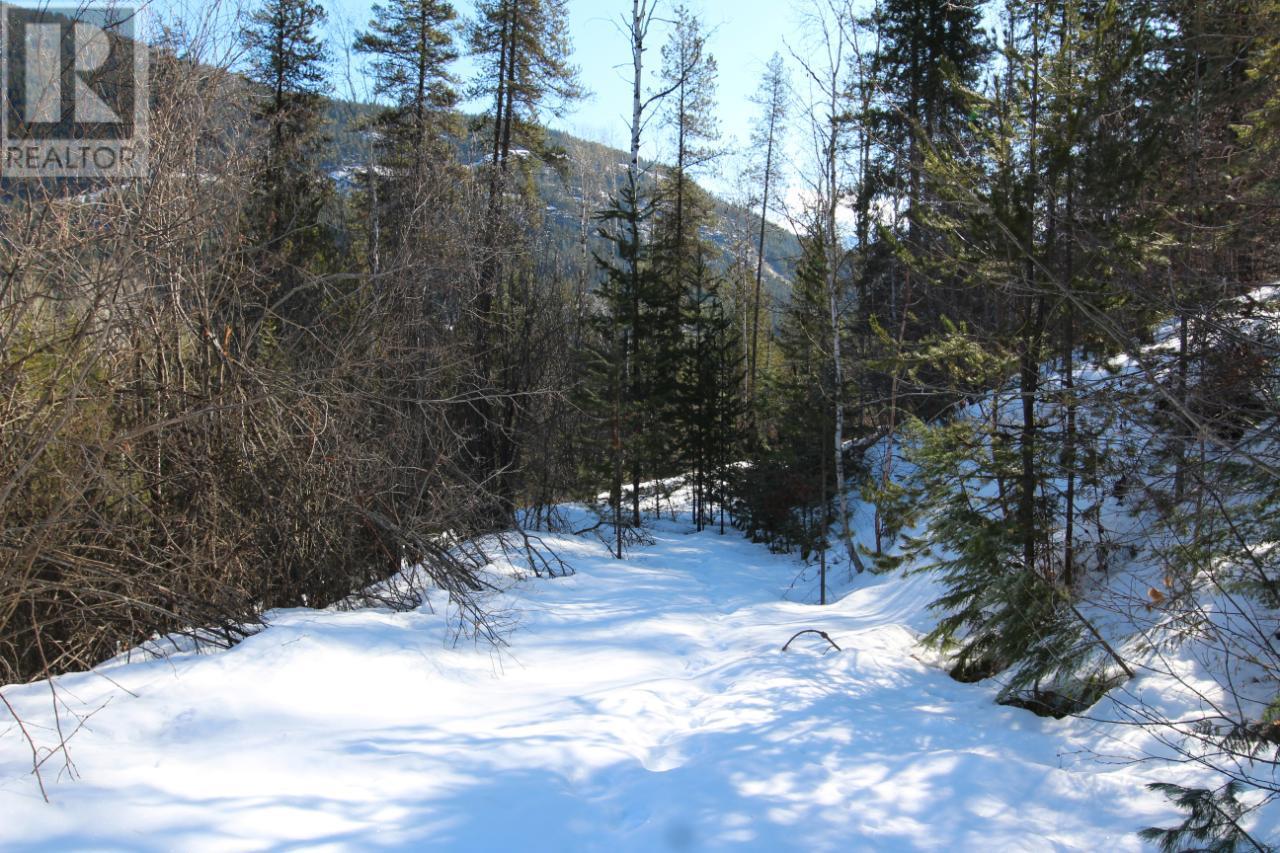 Lot 14 Poplar Ridge Road, South Slocan, British Columbia  V0G 1H1 - Photo 11 - 2479122