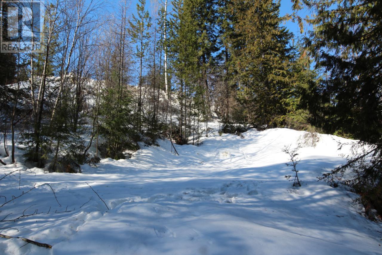 Lot 14 Poplar Ridge Road, South Slocan, British Columbia  V0G 1H1 - Photo 14 - 2479122