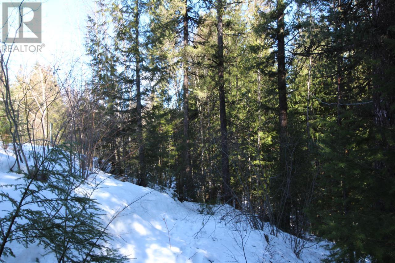 Lot 14 Poplar Ridge Road, South Slocan, British Columbia  V0G 1H1 - Photo 15 - 2479122