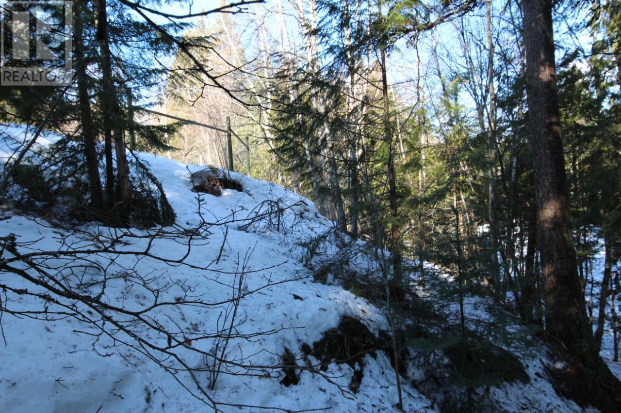 Lot 14 Poplar Ridge Road, South Slocan, British Columbia  V0G 1H1 - Photo 16 - 2479122