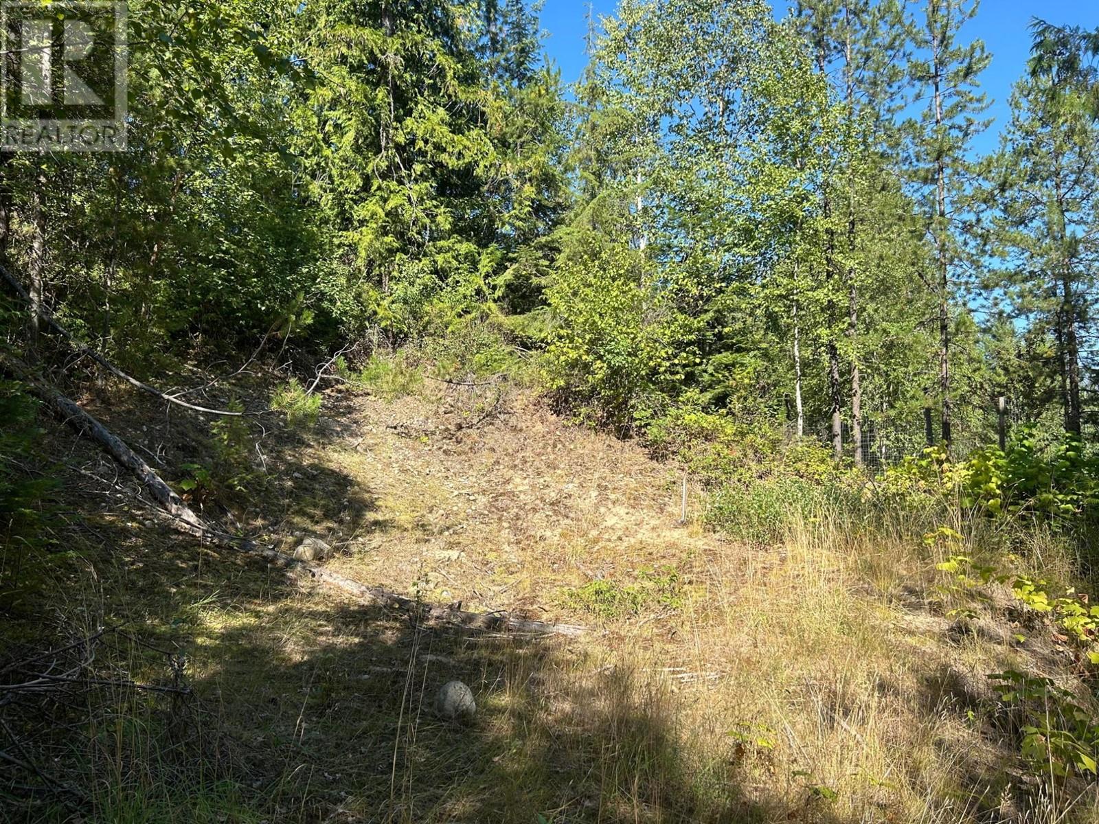 Lot 14 Poplar Ridge Road, South Slocan, British Columbia  V0G 1H1 - Photo 4 - 2479122