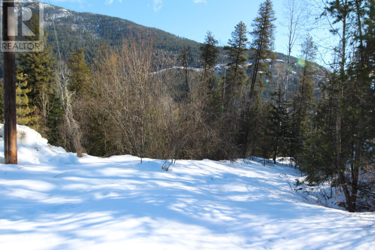 Lot 14 Poplar Ridge Road, South Slocan, British Columbia  V0G 1H1 - Photo 5 - 2479122