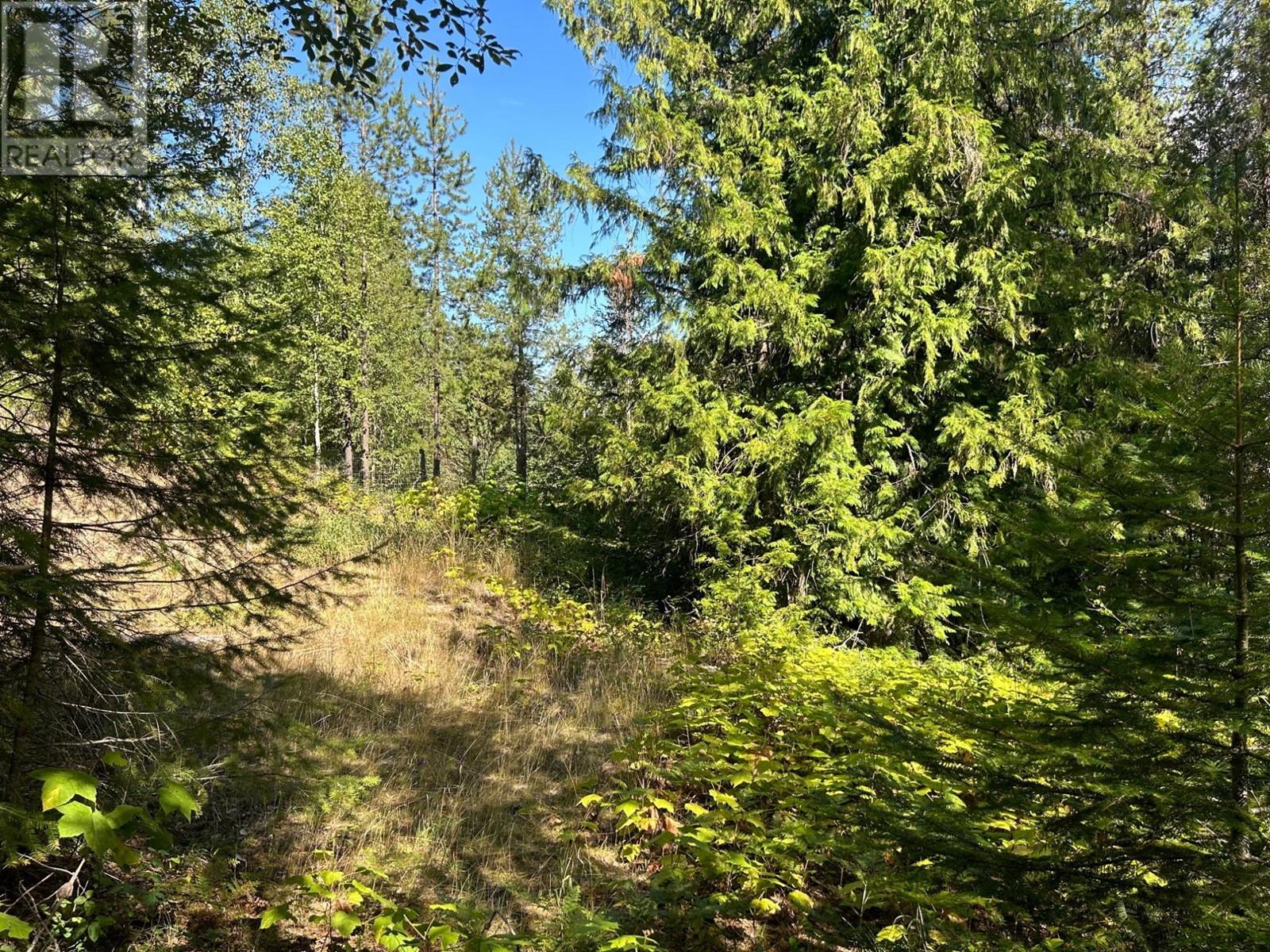 Lot 14 Poplar Ridge Road, South Slocan, British Columbia  V0G 1H1 - Photo 6 - 2479122