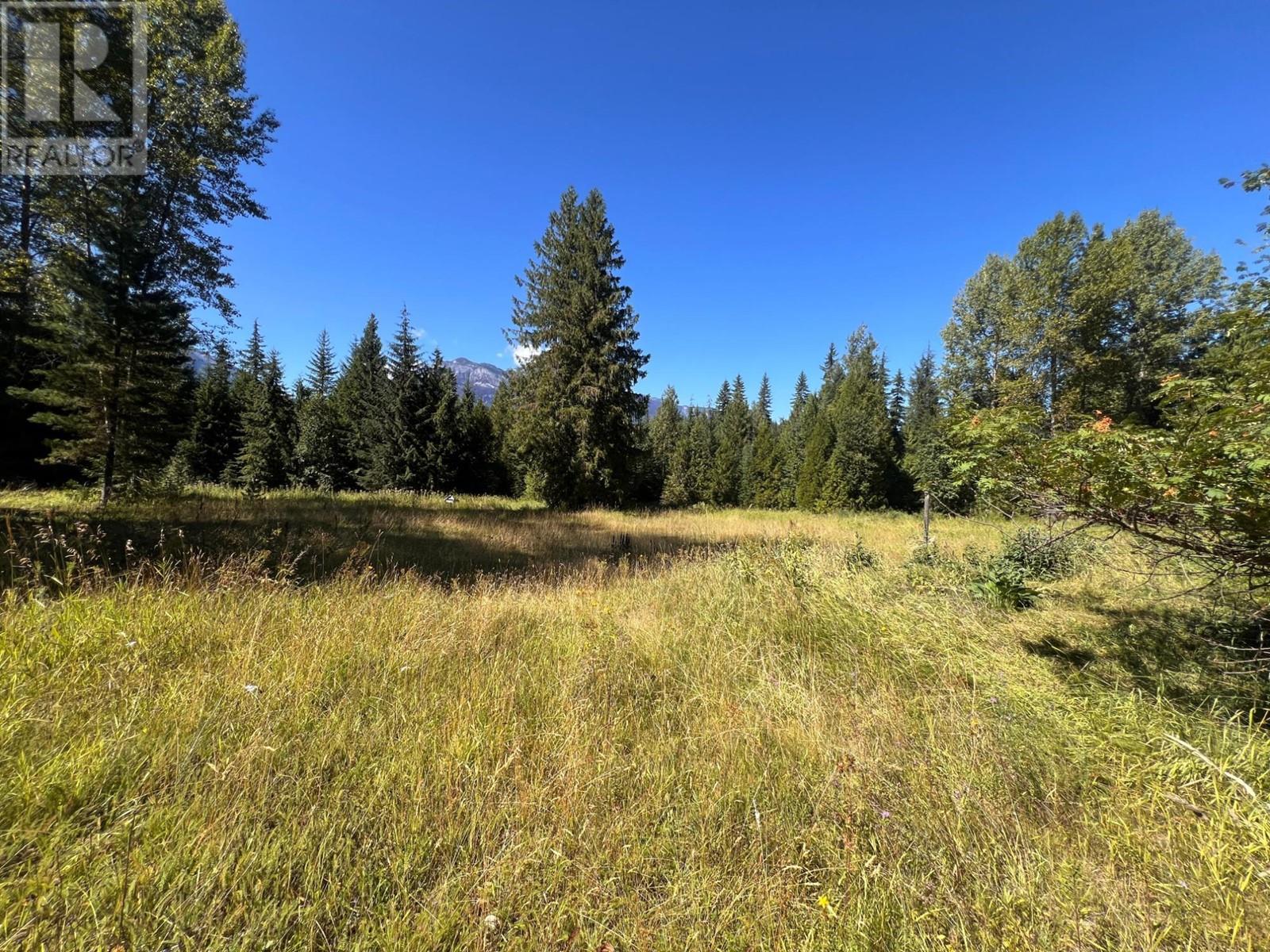 8479 Red Mountain Road, Silverton, British Columbia  V0G 2B0 - Photo 21 - 2479319