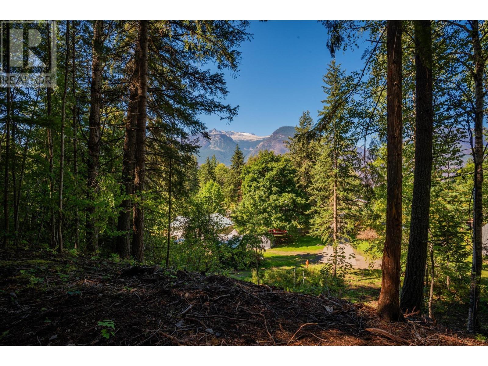 Lot A Denver Siding Road, New Denver, British Columbia  V0G 1S0 - Photo 1 - 2479386