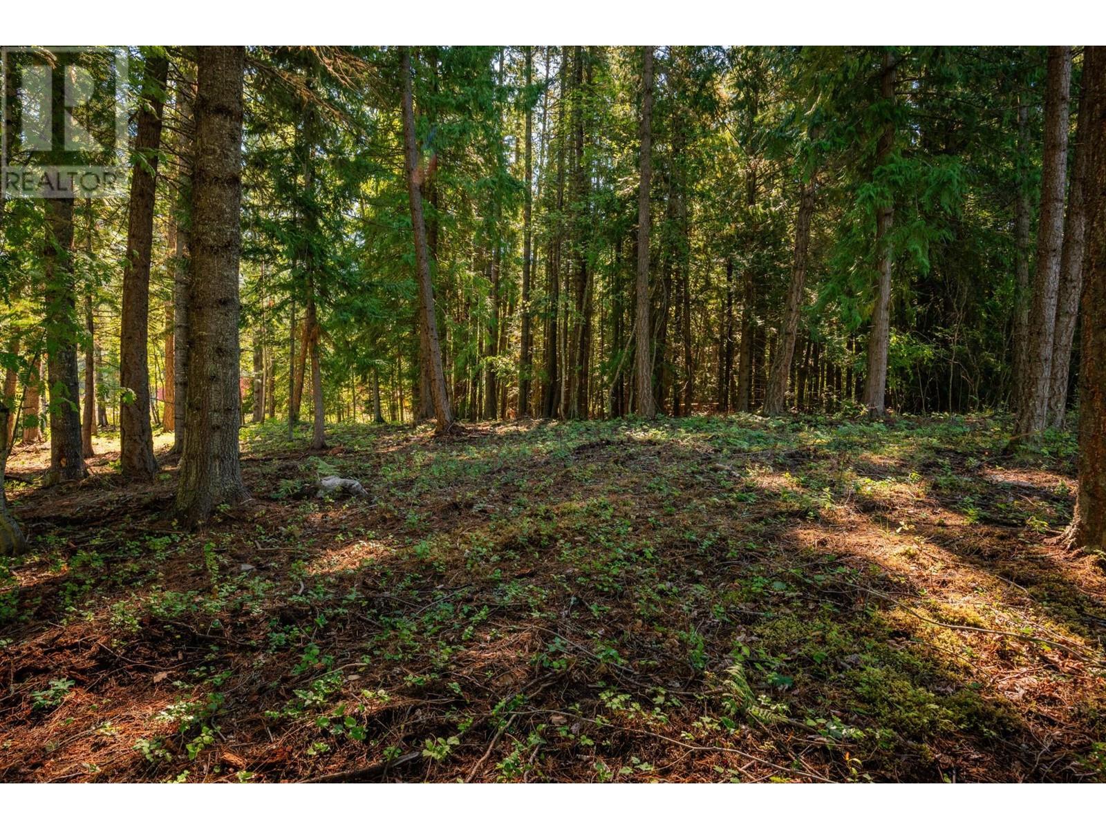 Lot A Denver Siding Road, New Denver, British Columbia  V0G 1S0 - Photo 10 - 2479386