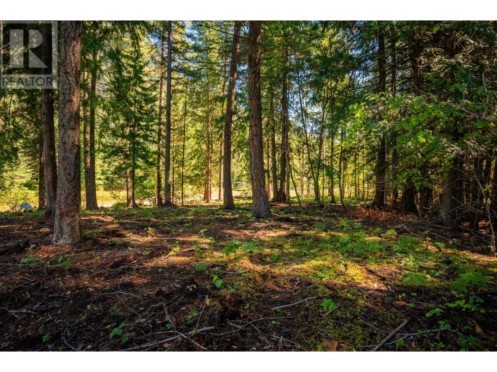 Lot A Denver Siding Road, New Denver, British Columbia  V0G 1S0 - Photo 11 - 2479386