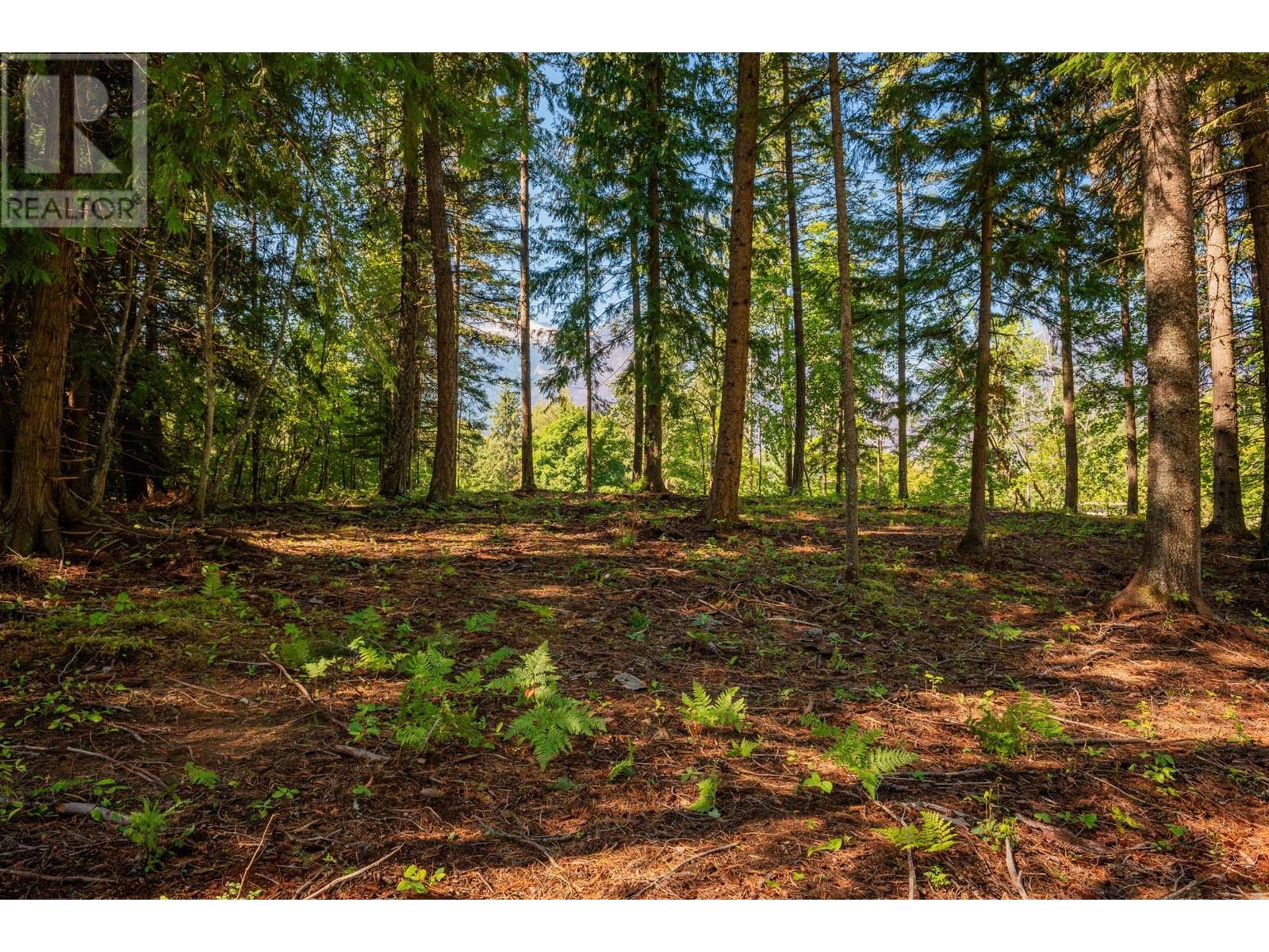 Lot A Denver Siding Road, New Denver, British Columbia  V0G 1S0 - Photo 15 - 2479386