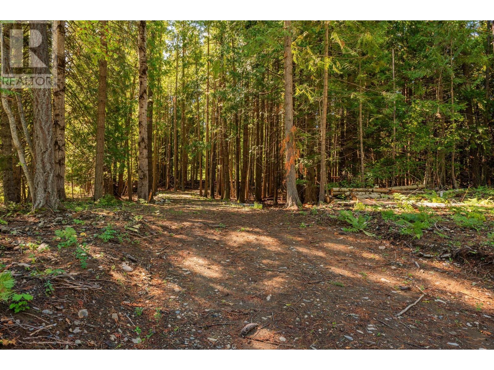 Lot B Denver Siding Road, New Denver, British Columbia  V0G 1S0 - Photo 13 - 2479385