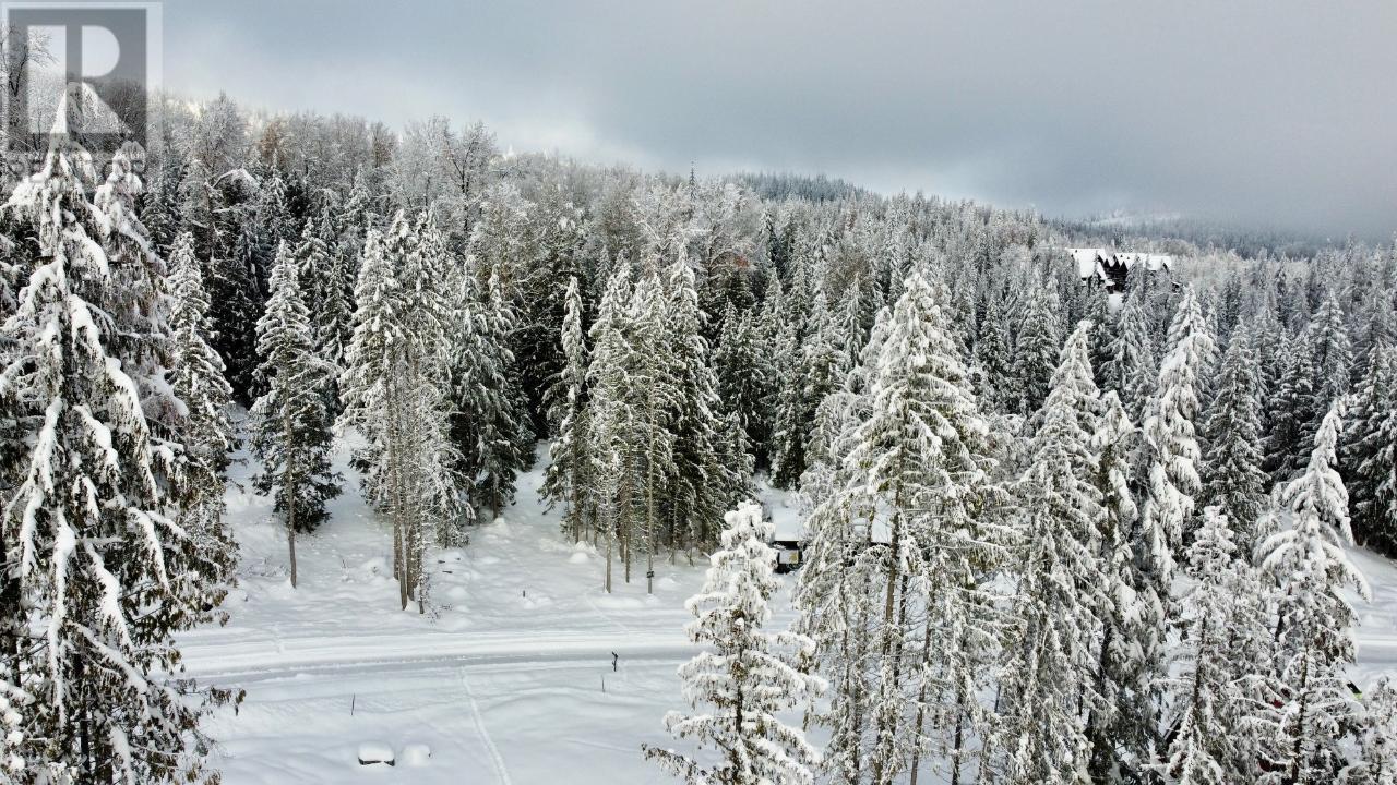 312 Ridge Road, Rossland, British Columbia  V0G 1Y0 - Photo 13 - 2479468