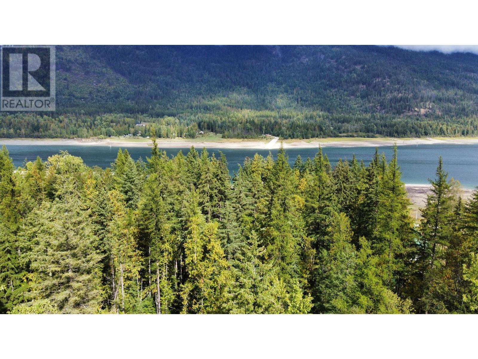 3848 Rock Island Road, Nakusp, British Columbia  V0G 1R1 - Photo 28 - 2479542