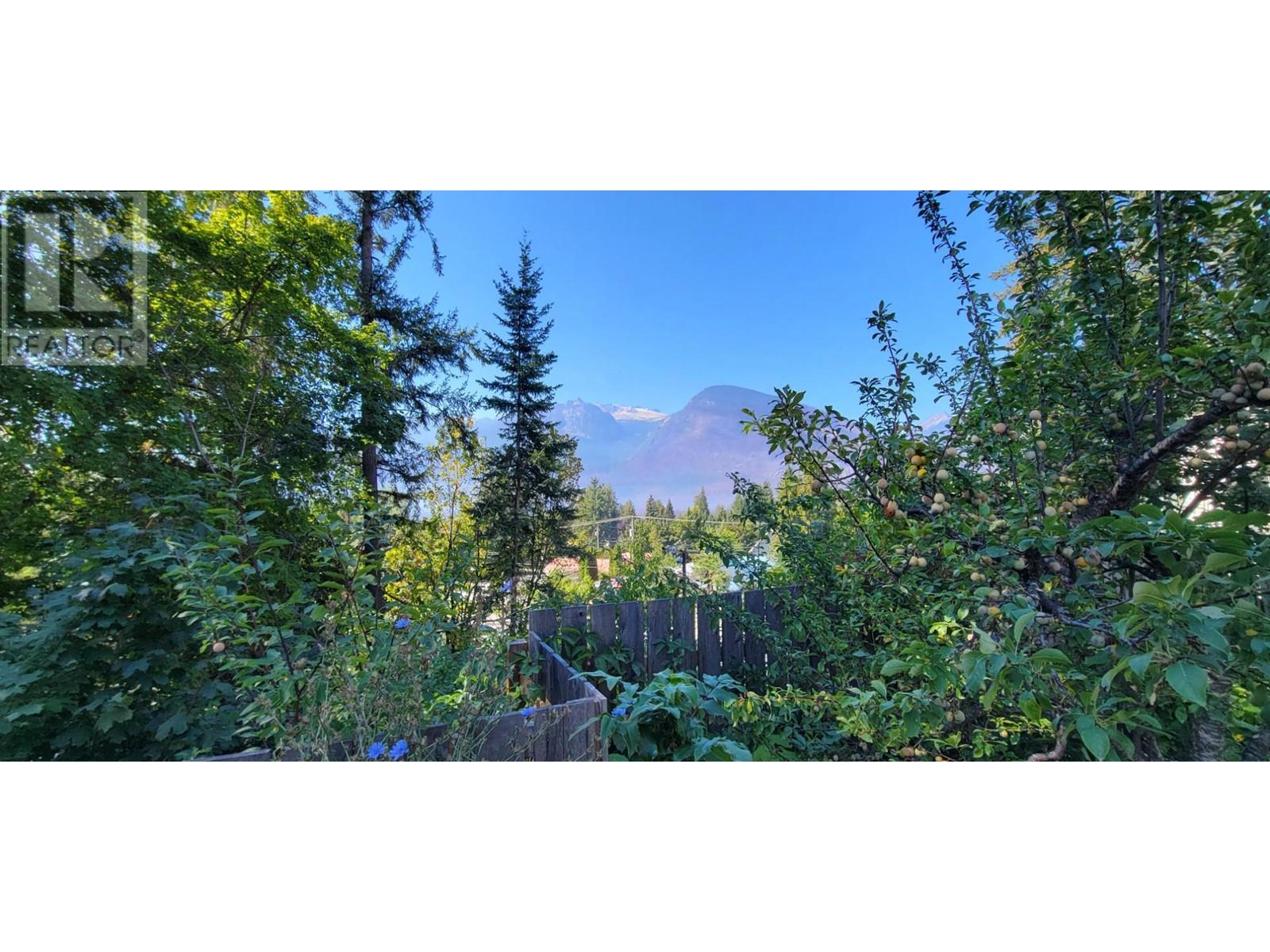 515 9th Avenue, New Denver, British Columbia  V0G 1S0 - Photo 31 - 2479679