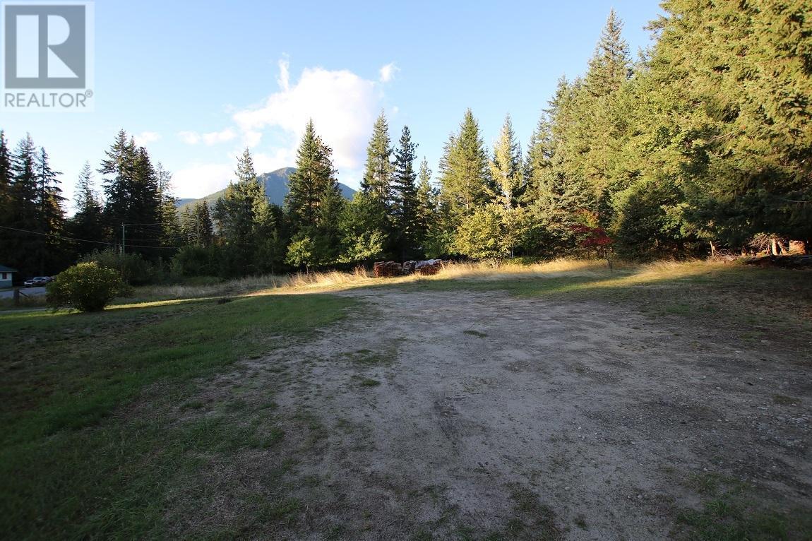 431 Alexander Road, Nakusp, British Columbia  V0G 1R1 - Photo 14 - 2479710