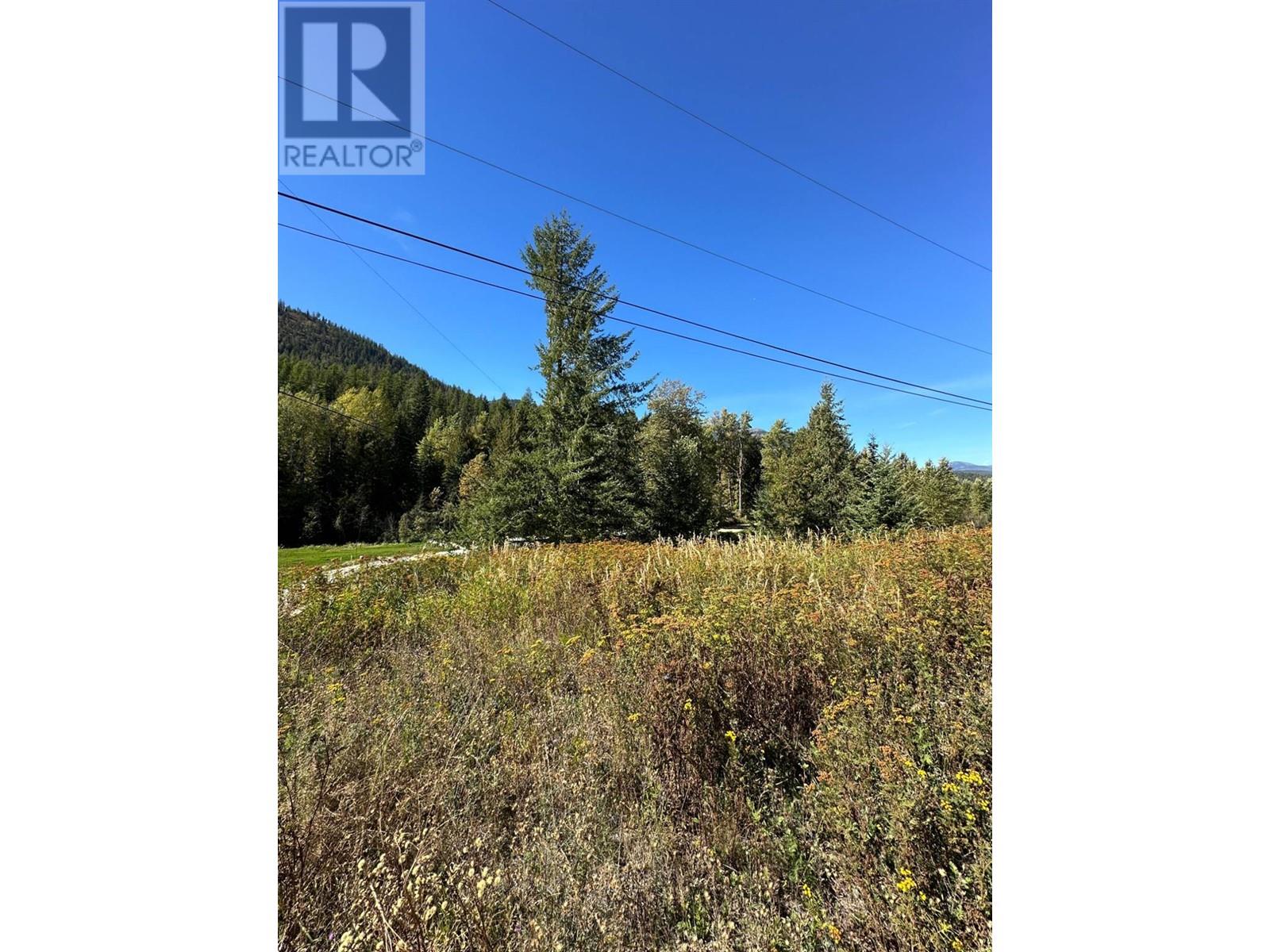 3923 Old Red Mountain Road, Rossland, British Columbia  V0G 1Y0 - Photo 3 - 2480072