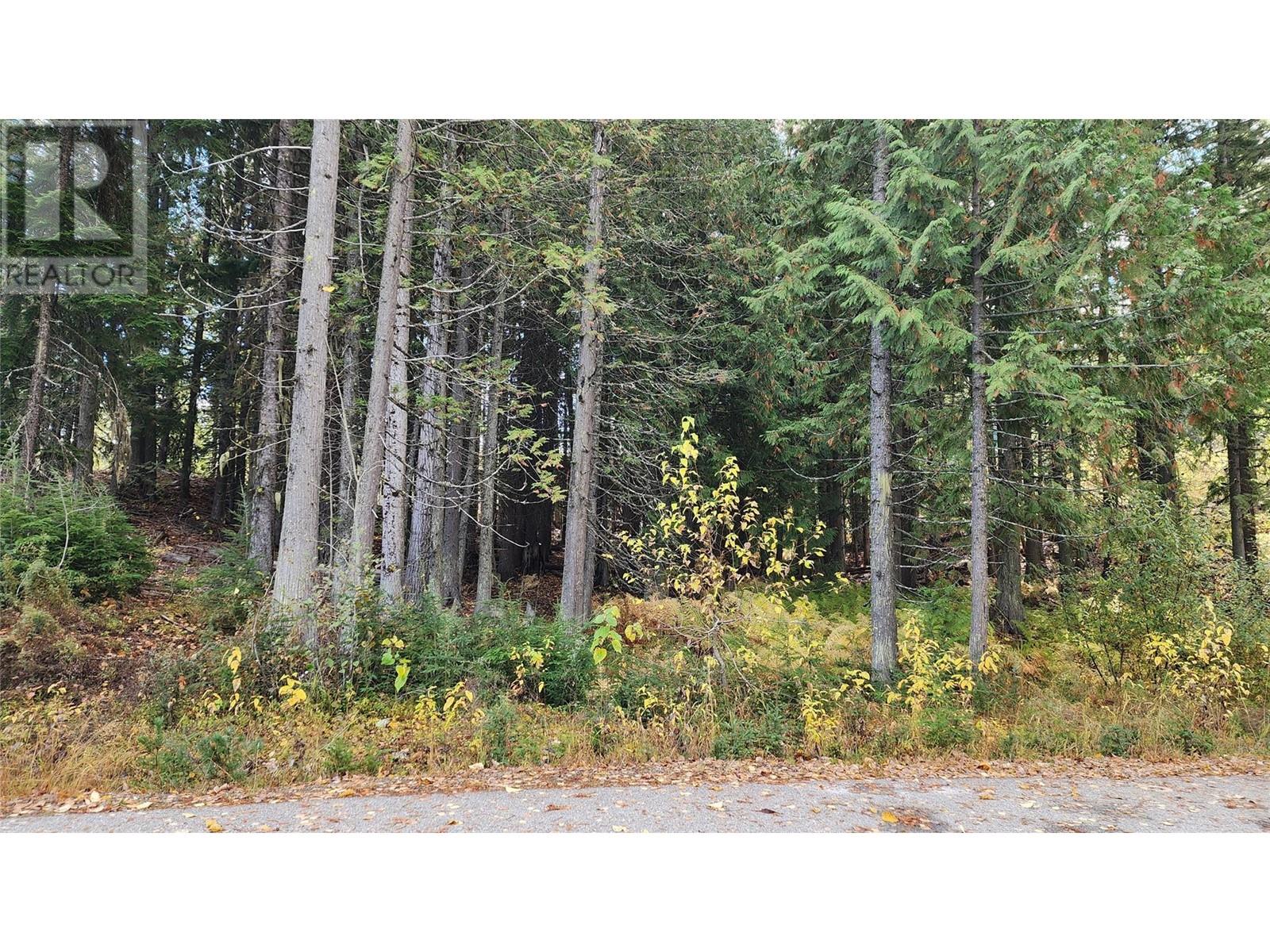 210 Cedar Creek Place Lot# Sl 10, Rossland, British Columbia  V0G 1Y0 - Photo 10 - 10327718