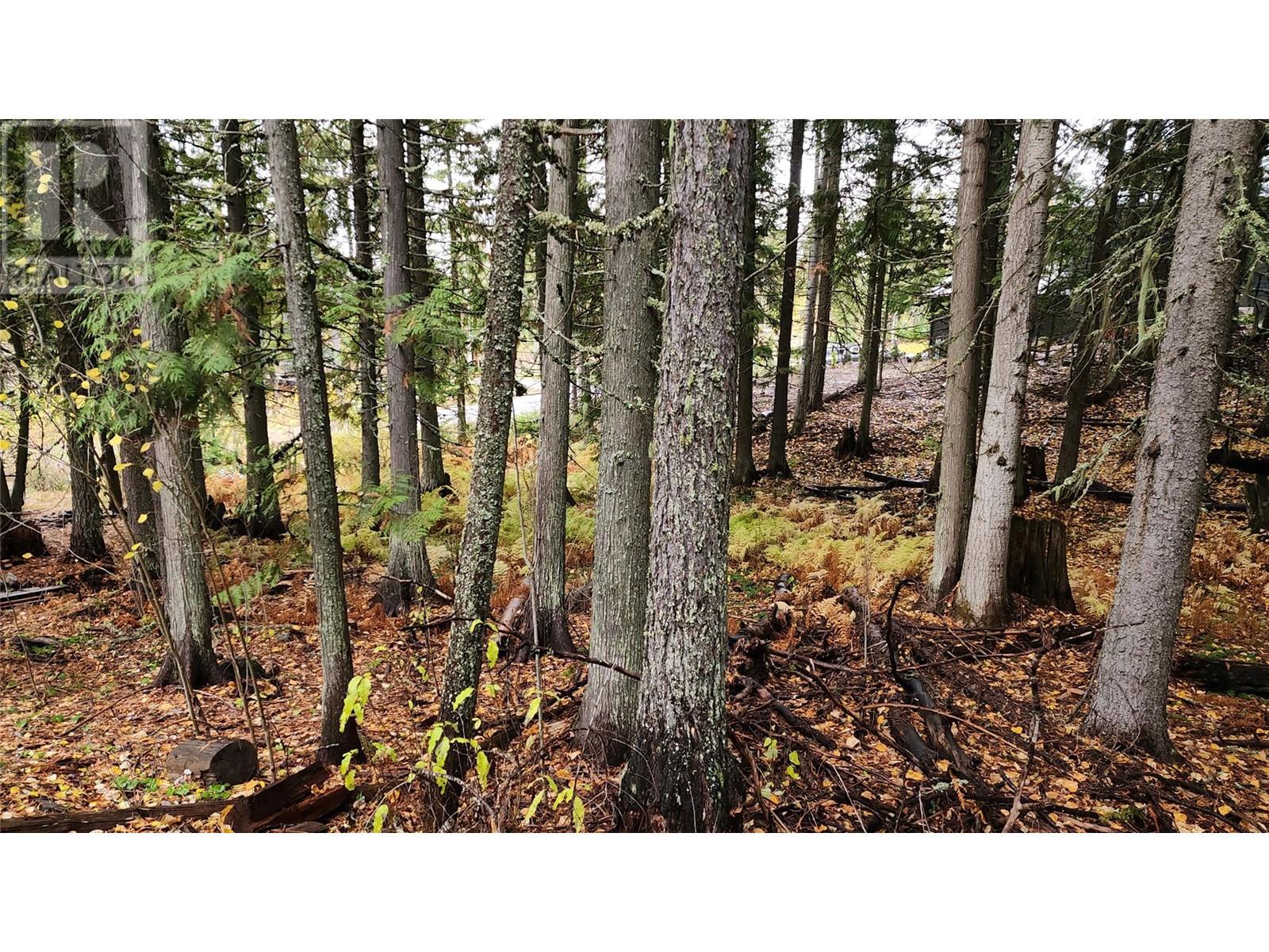 210 Cedar Creek Place Lot# Sl 10, Rossland, British Columbia  V0G 1Y0 - Photo 11 - 10327718