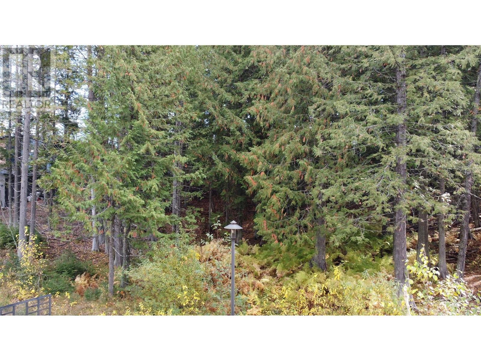 210 Cedar Creek Place Lot# Sl 10, Rossland, British Columbia  V0G 1Y0 - Photo 12 - 10327718