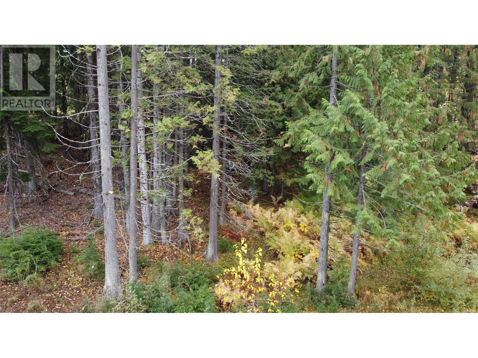 210 Cedar Creek Place Lot# Sl 10, Rossland, British Columbia  V0G 1Y0 - Photo 25 - 10327718