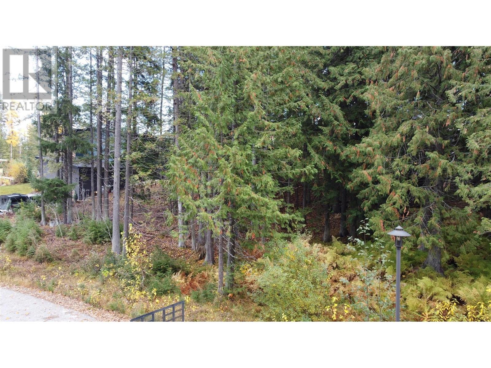 210 Cedar Creek Place Lot# Sl 10, Rossland, British Columbia  V0G 1Y0 - Photo 26 - 10327718