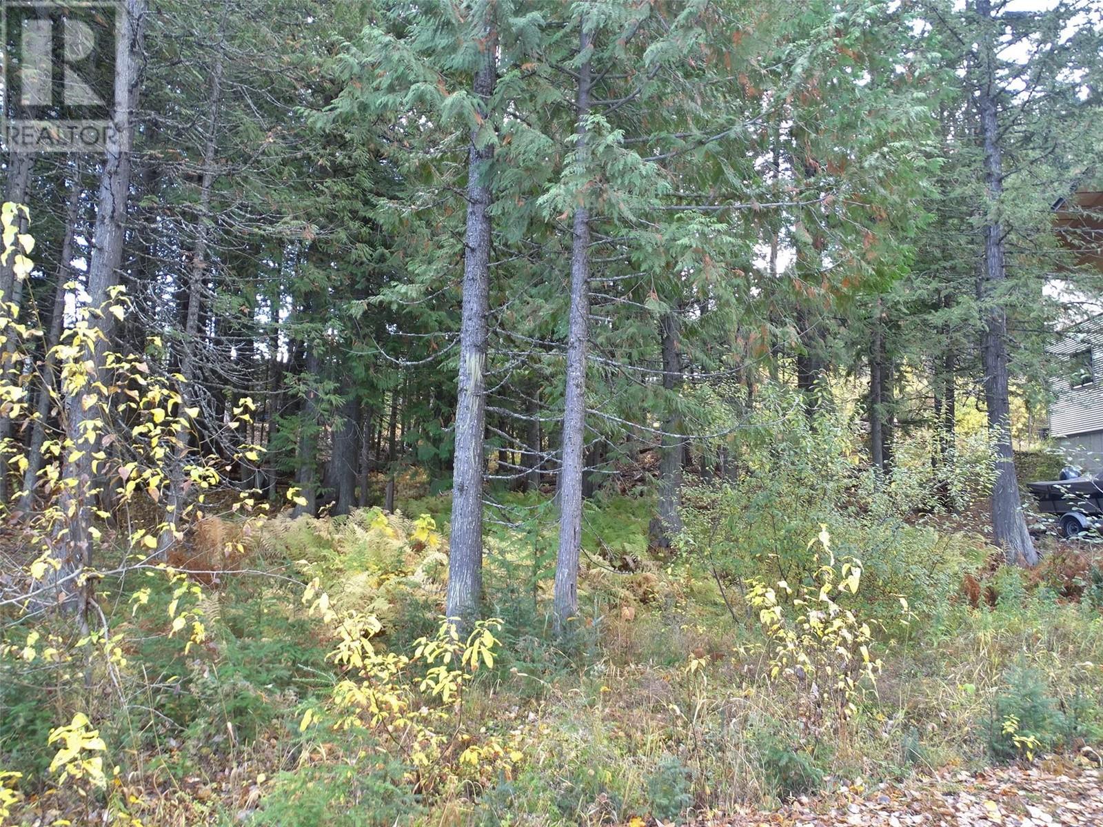 210 Cedar Creek Place Lot# Sl 10, Rossland, British Columbia  V0G 1Y0 - Photo 27 - 10327718