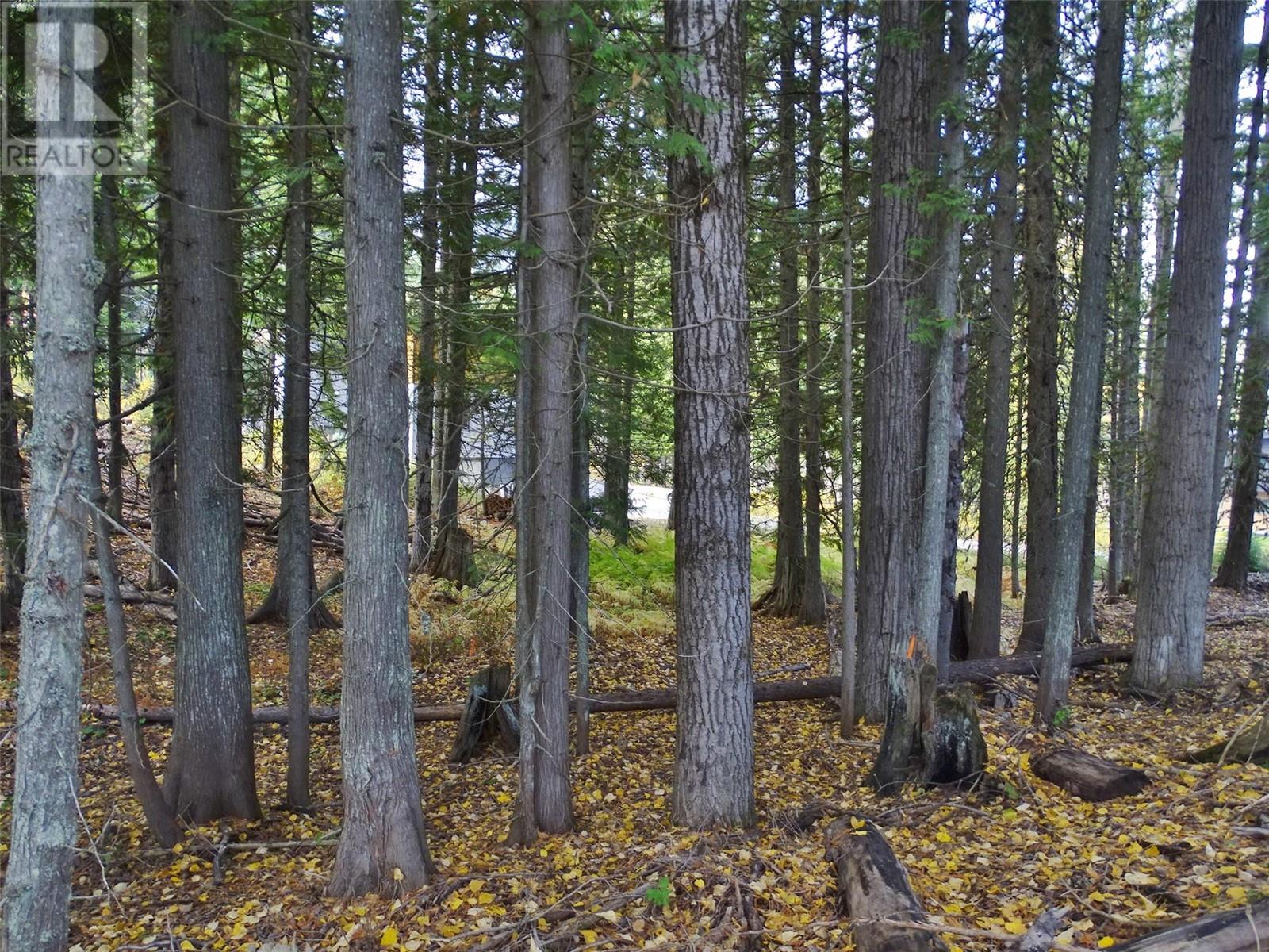 210 Cedar Creek Place Lot# Sl 10, Rossland, British Columbia  V0G 1Y0 - Photo 28 - 10327718