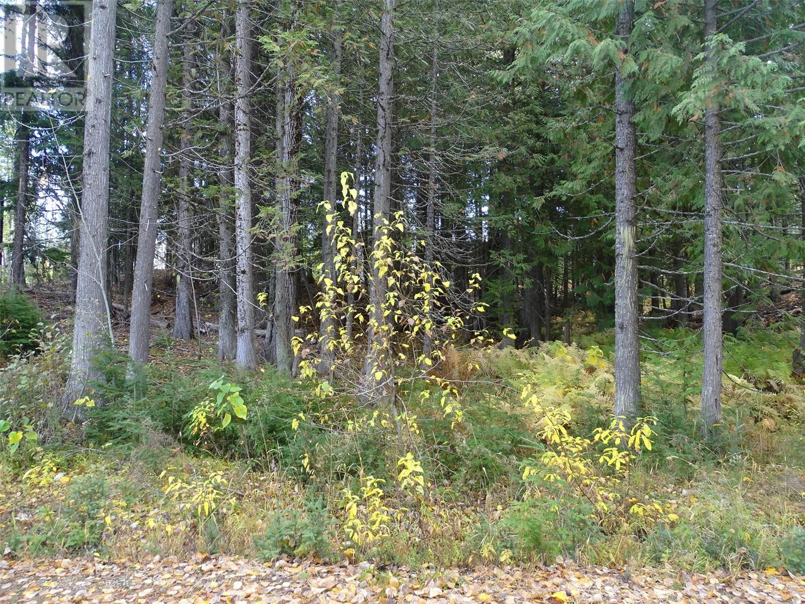 210 Cedar Creek Place Lot# Sl 10, Rossland, British Columbia  V0G 1Y0 - Photo 31 - 10327718