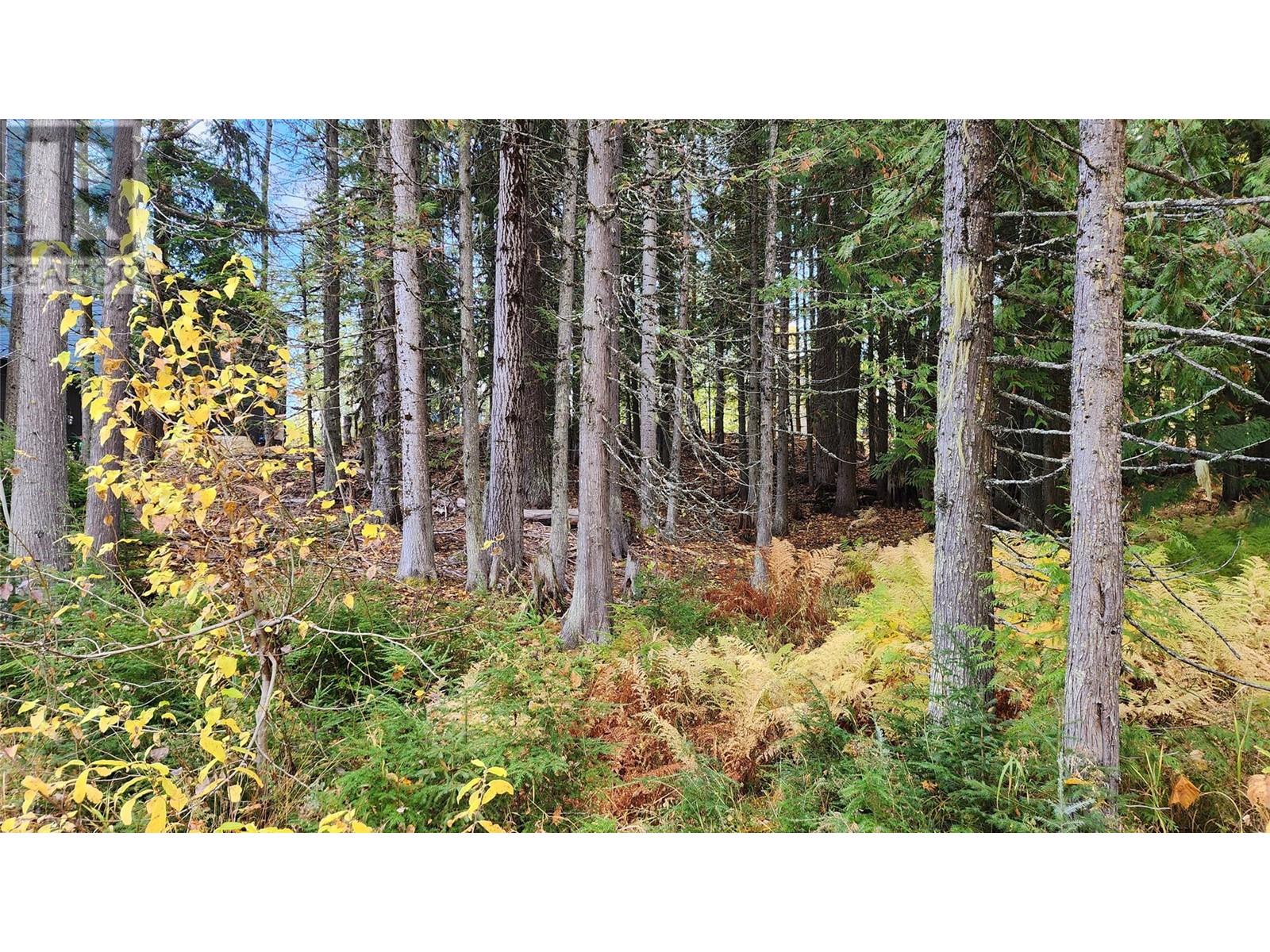 210 Cedar Creek Place Lot# Sl 10, Rossland, British Columbia  V0G 1Y0 - Photo 9 - 10327718