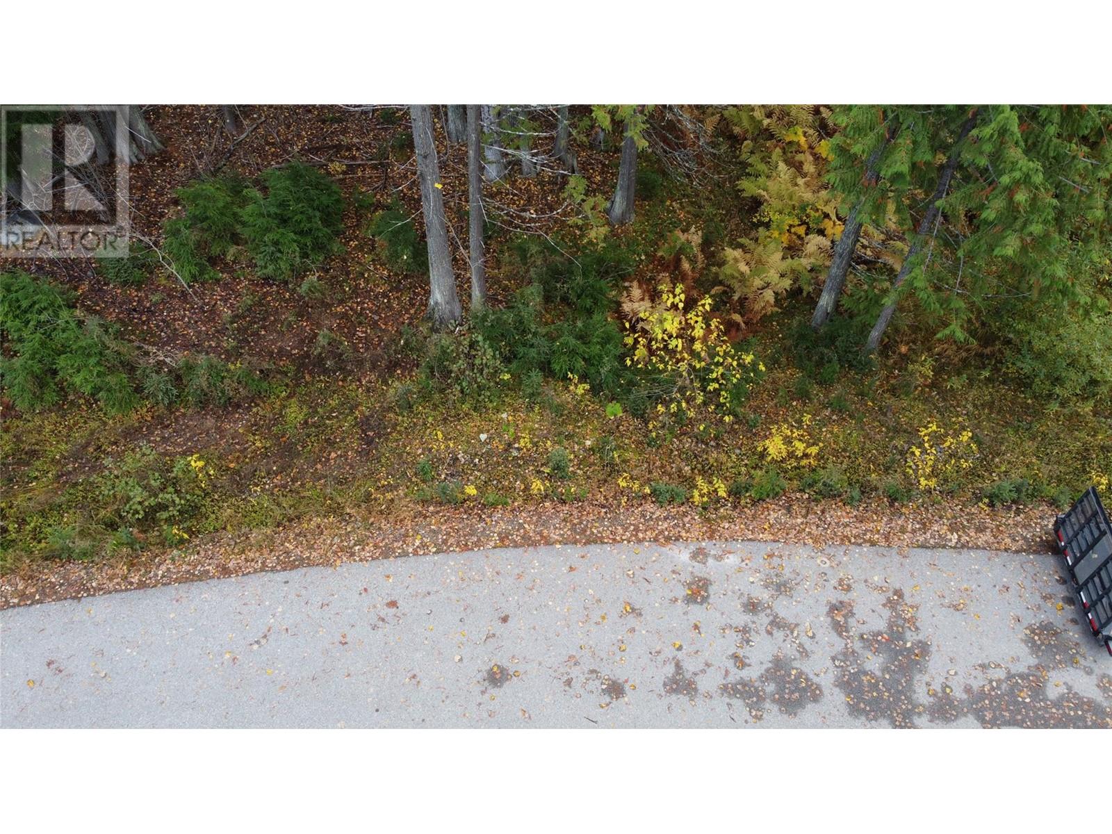 206 Cedar Creek Place Lot# Sl 9, Rossland, British Columbia  V0G 1Y0 - Photo 14 - 10327784