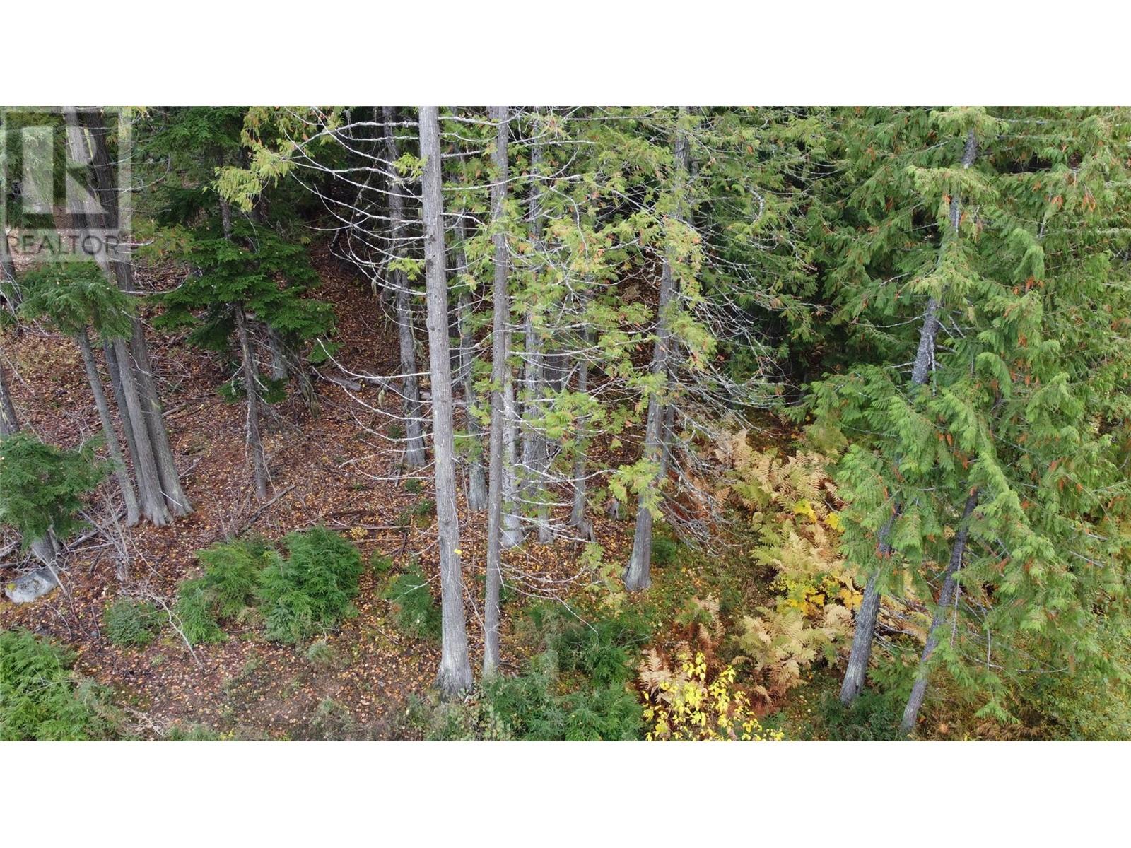 206 Cedar Creek Place Lot# Sl 9, Rossland, British Columbia  V0G 1Y0 - Photo 15 - 10327784