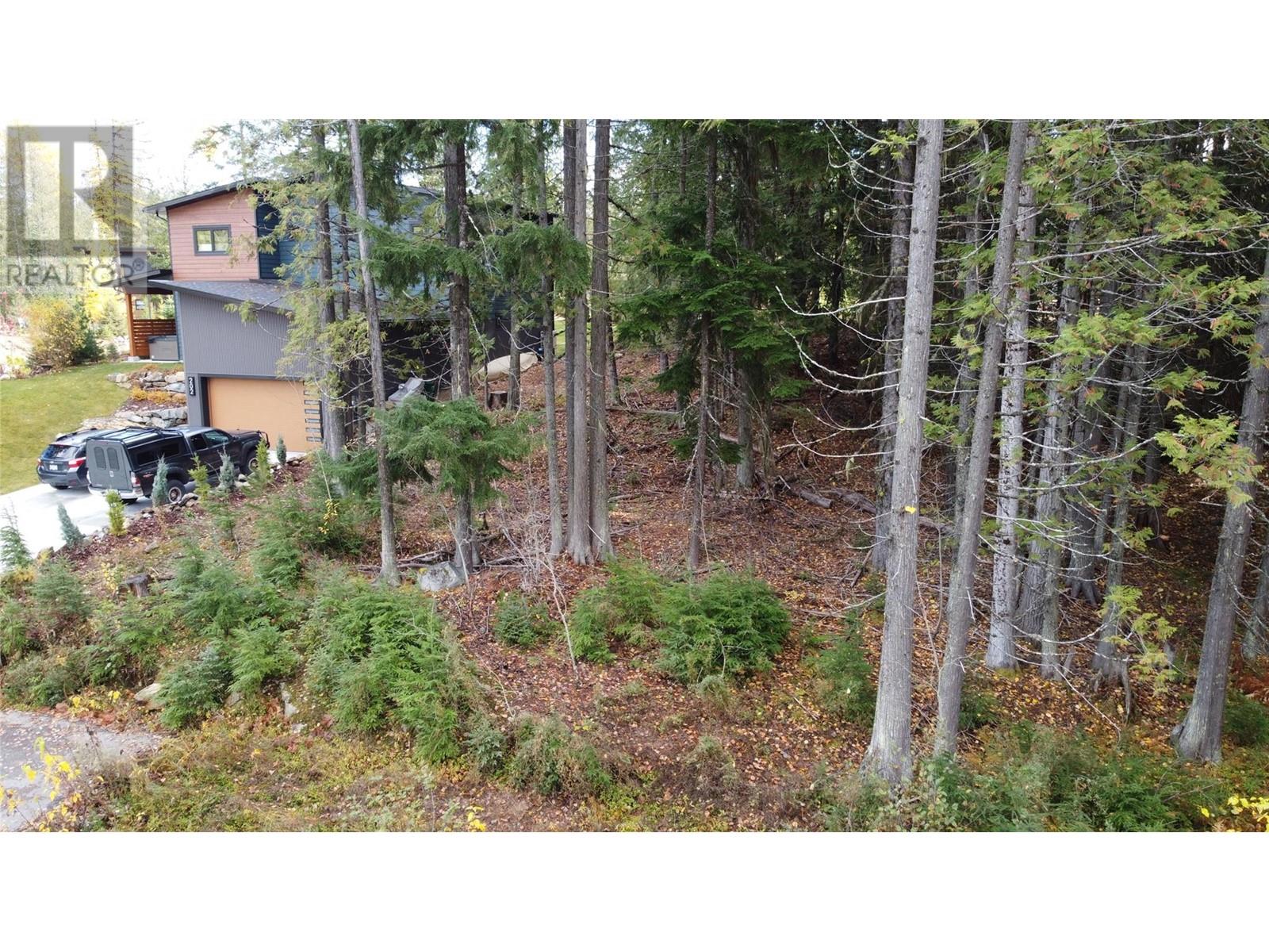 206 Cedar Creek Place Lot# Sl 9, Rossland, British Columbia  V0G 1Y0 - Photo 19 - 10327784