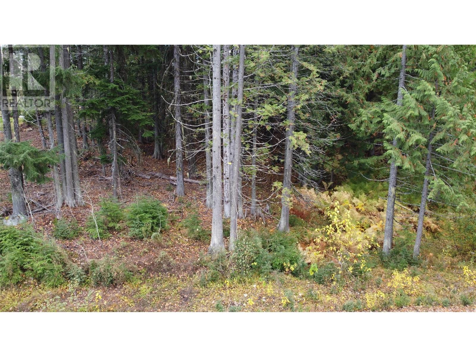 206 Cedar Creek Place Lot# Sl 9, Rossland, British Columbia  V0G 1Y0 - Photo 21 - 10327784