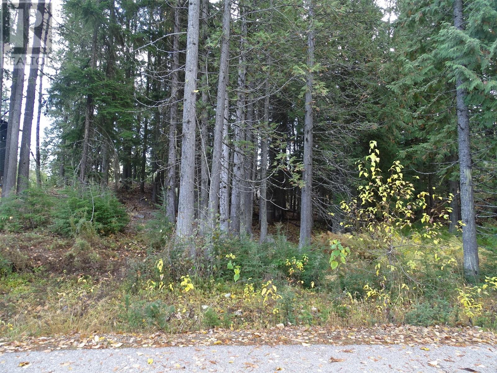 206 Cedar Creek Place Lot# Sl 9, Rossland, British Columbia  V0G 1Y0 - Photo 22 - 10327784