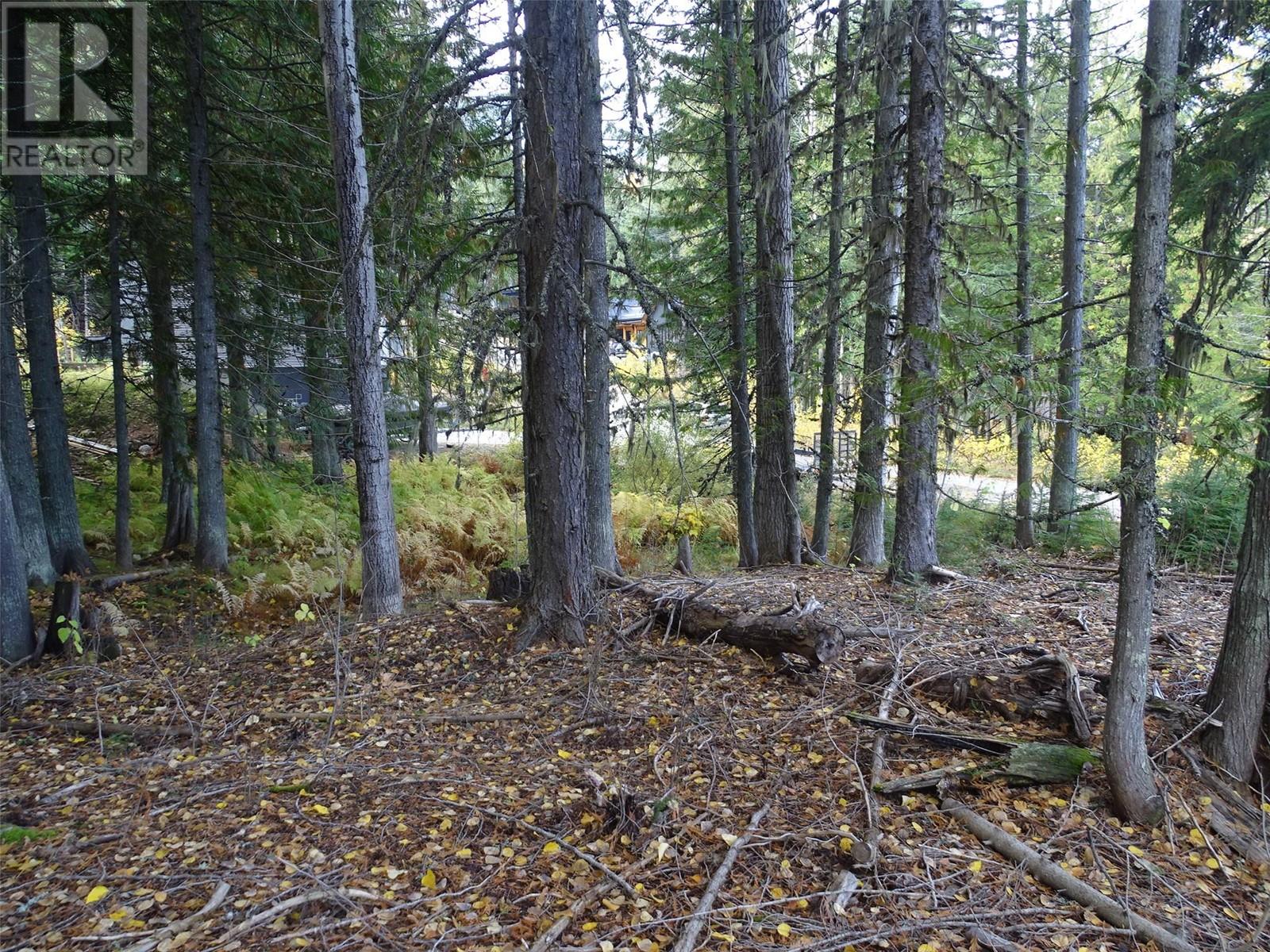 206 Cedar Creek Place Lot# Sl 9, Rossland, British Columbia  V0G 1Y0 - Photo 23 - 10327784