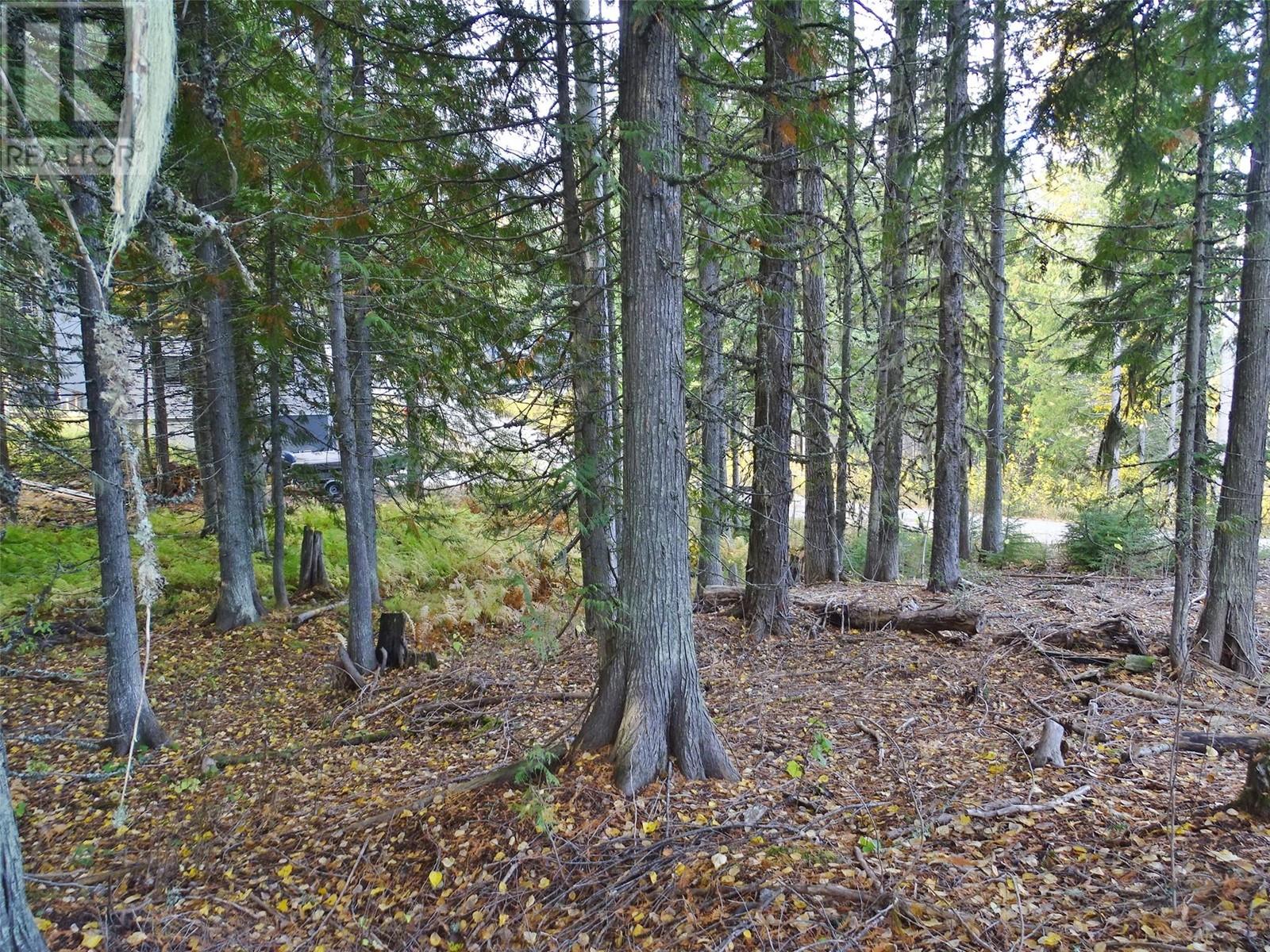 206 Cedar Creek Place Lot# Sl 9, Rossland, British Columbia  V0G 1Y0 - Photo 25 - 10327784