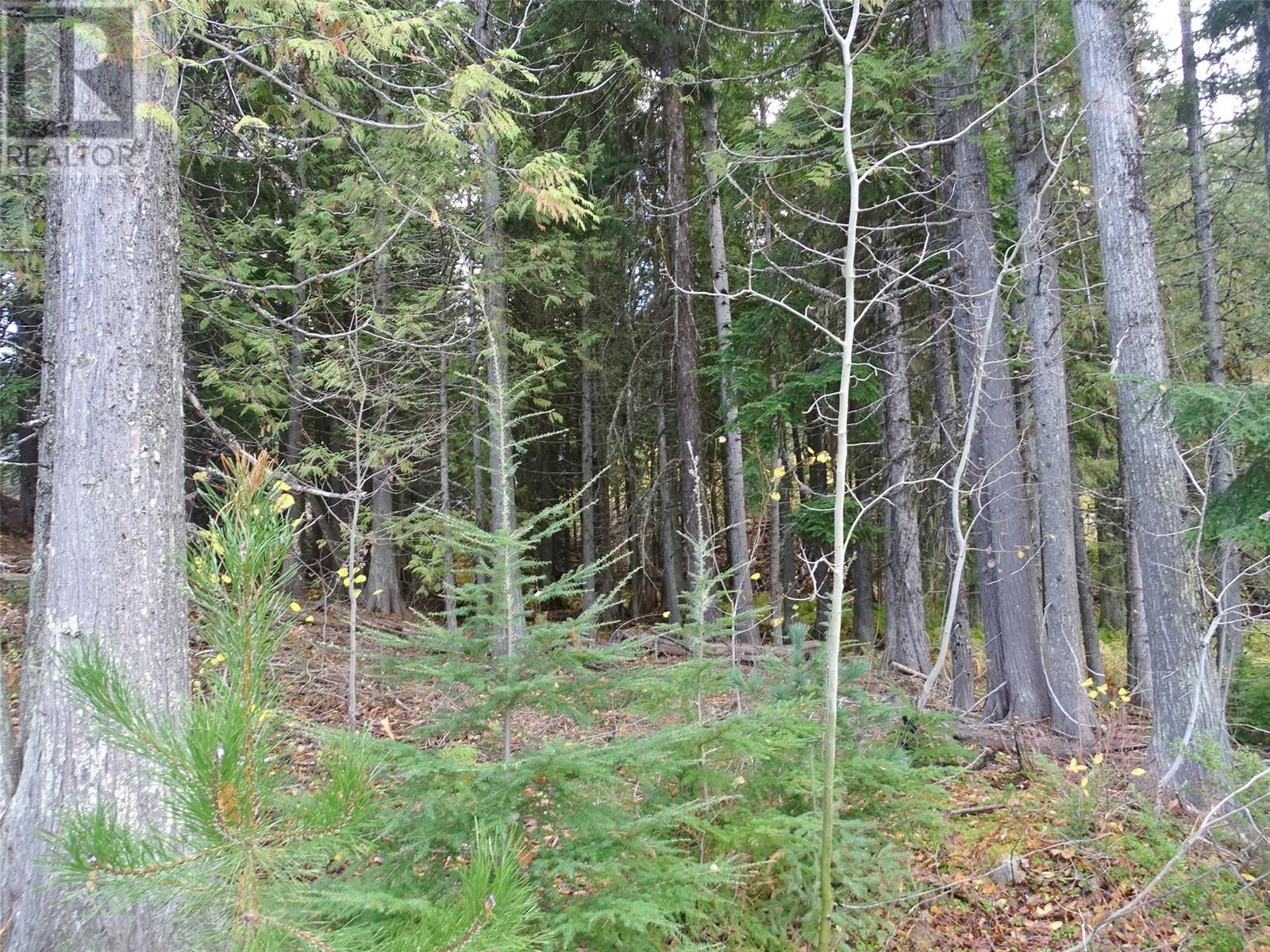 206 Cedar Creek Place Lot# Sl 9, Rossland, British Columbia  V0G 1Y0 - Photo 29 - 10327784