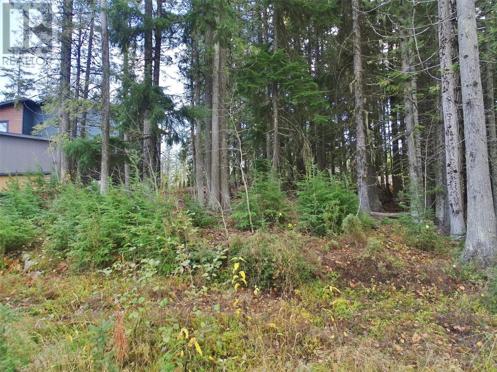 206 Cedar Creek Place Lot# Sl 9, Rossland, British Columbia  V0G 1Y0 - Photo 30 - 10327784