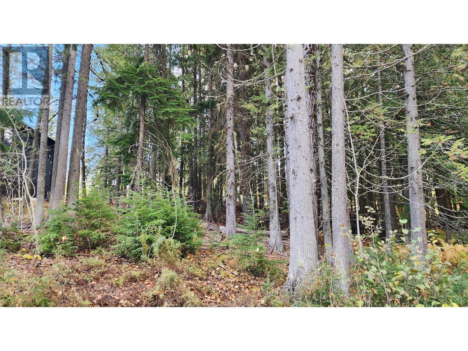 206 Cedar Creek Place Lot# Sl 9, Rossland, British Columbia  V0G 1Y0 - Photo 4 - 10327784